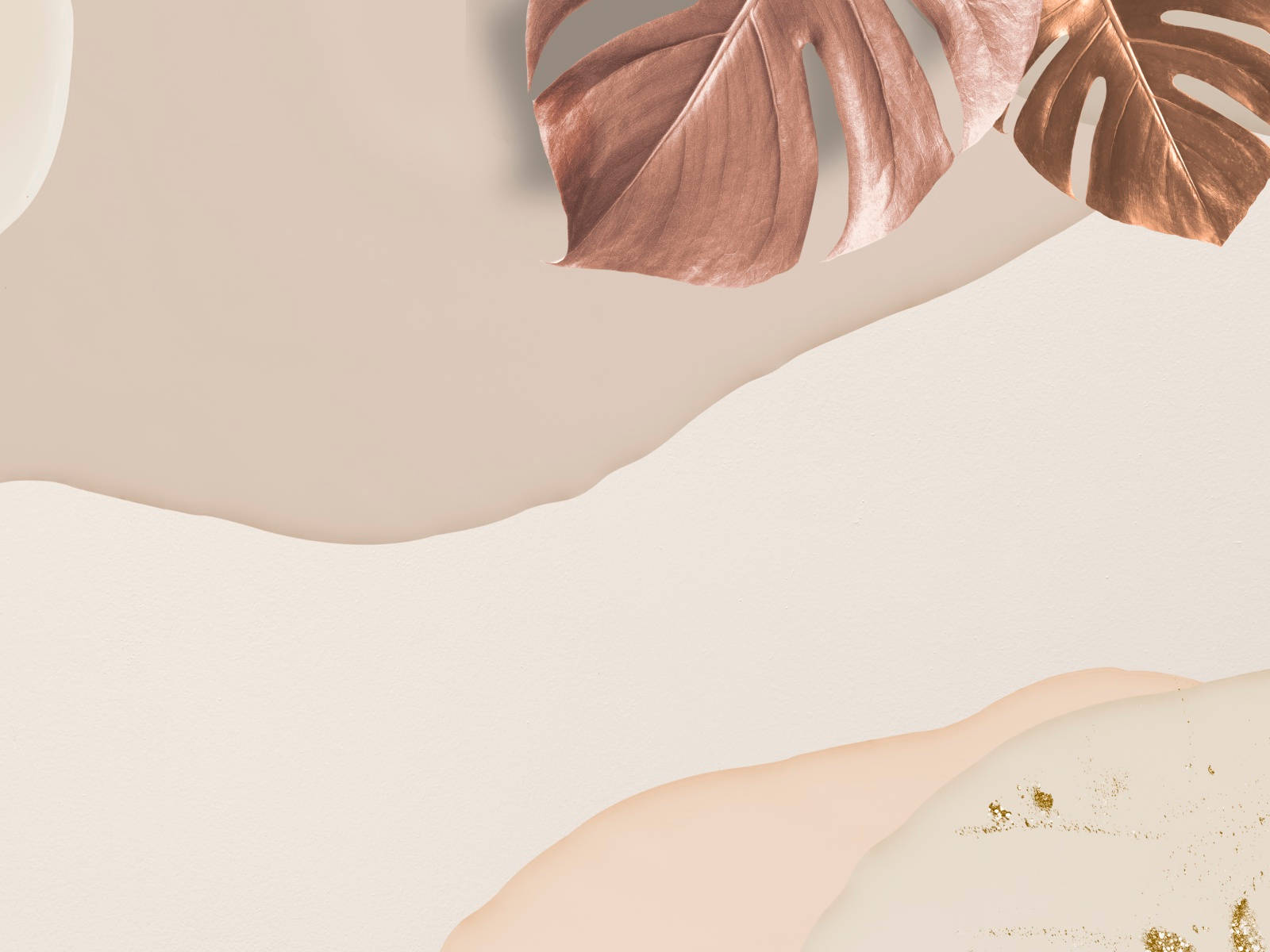 Monstera blade på beige baggrund Wallpapers