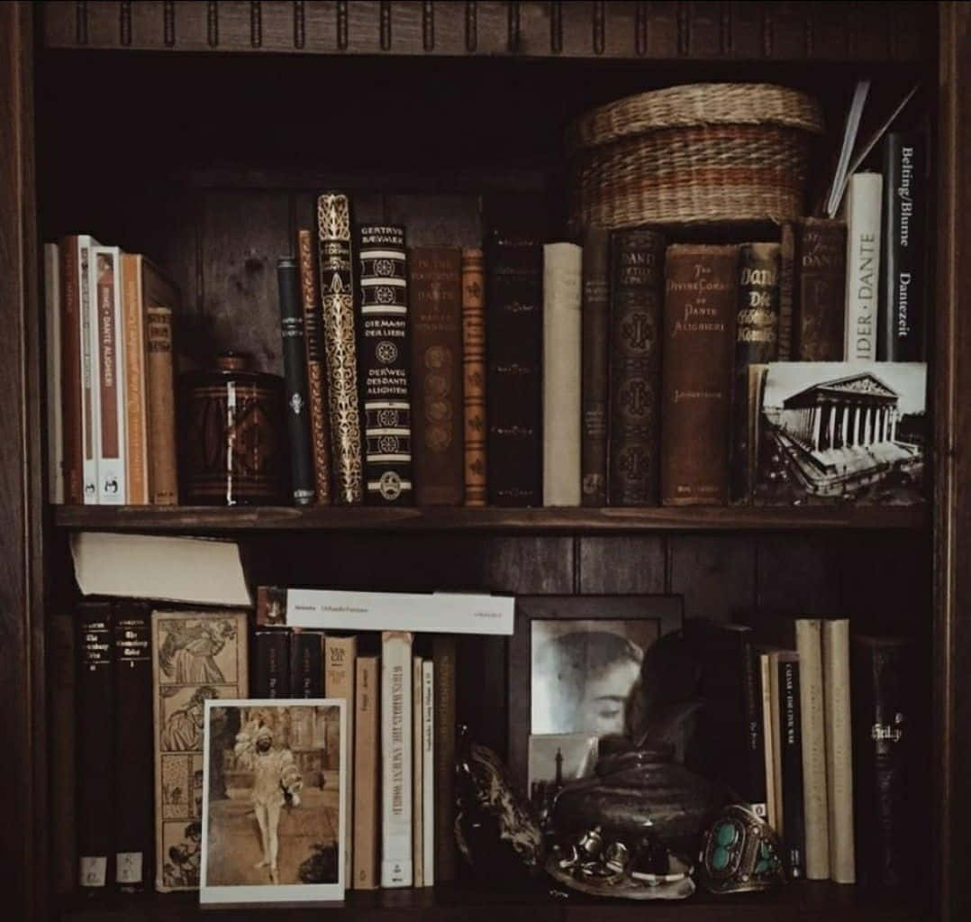 Mørk akademisk æstetik med biblioteksscene Wallpapers
