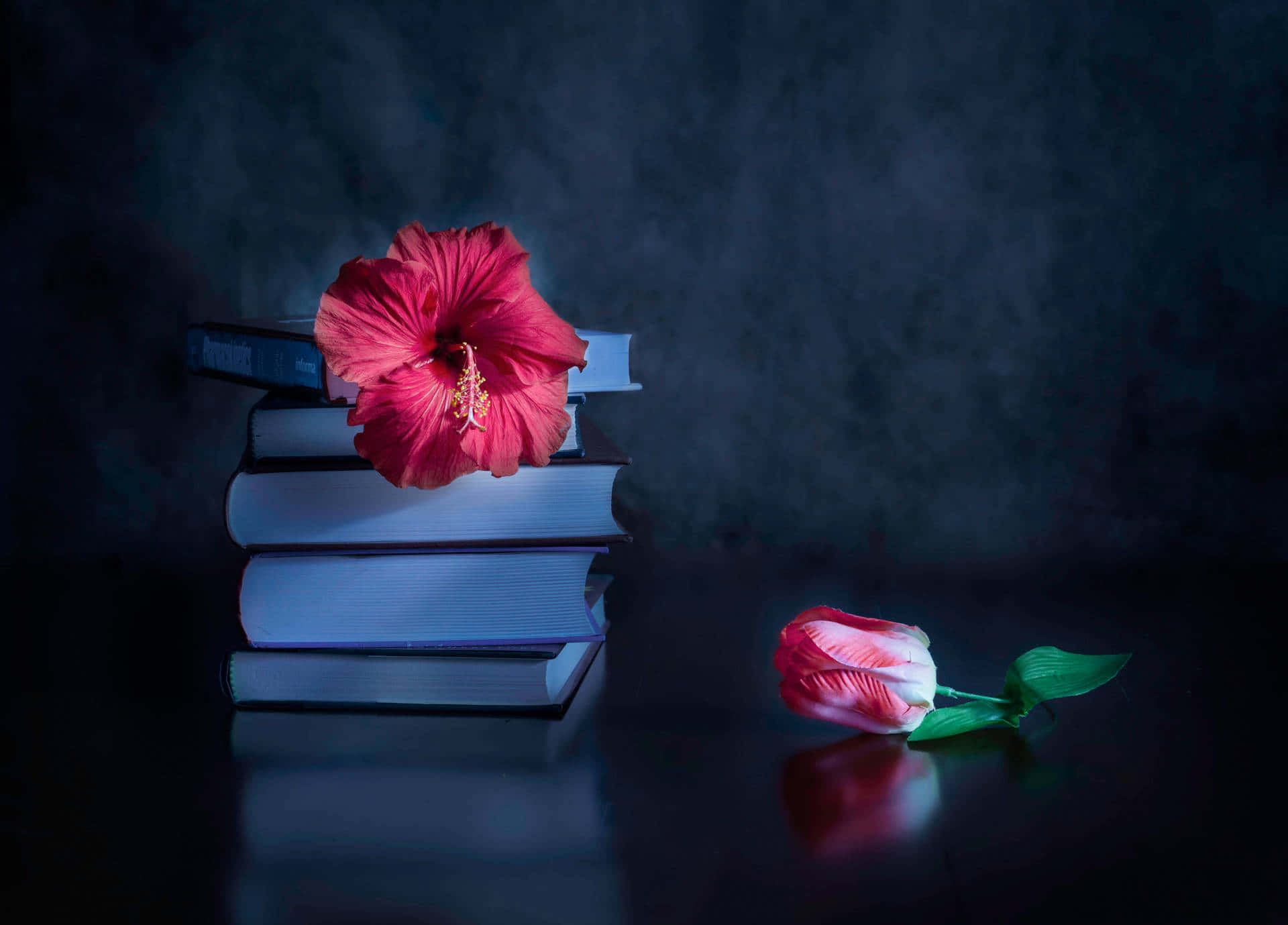Mørk Blomster Elegance Wallpapers