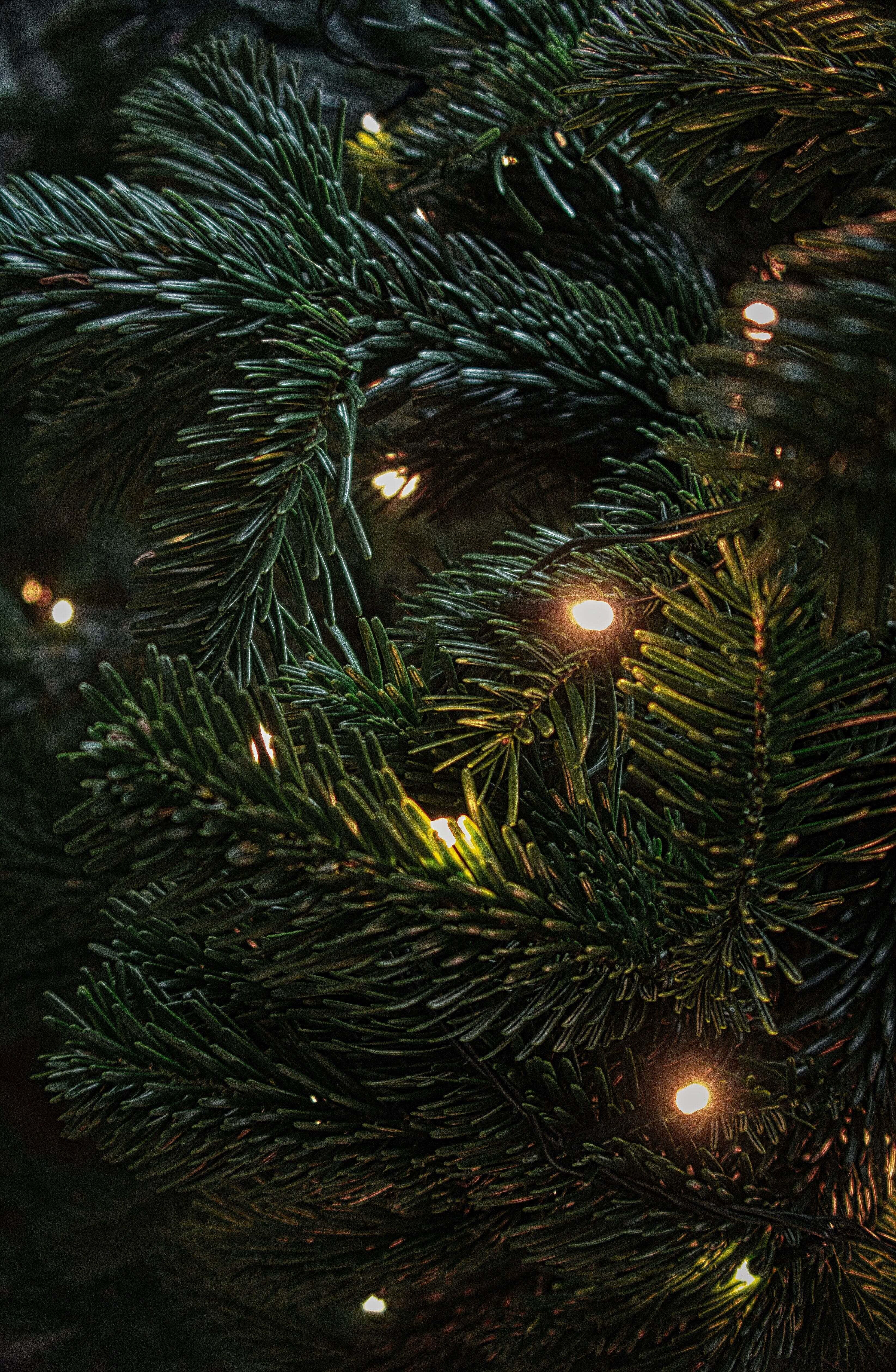 Mørk julescene Wallpapers