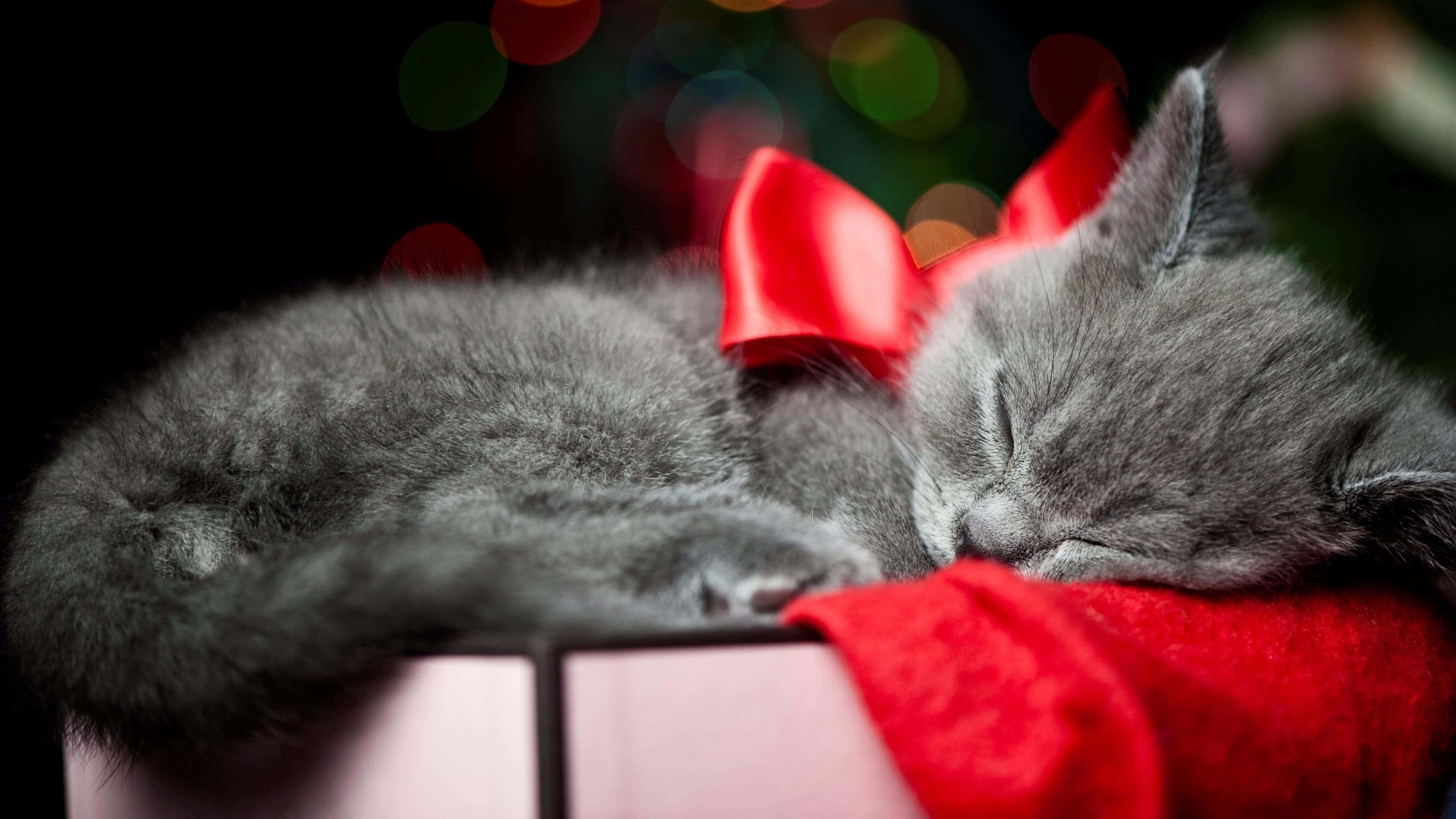 Mærk julestemningen med denne hyggelige julepynt! Wallpapers