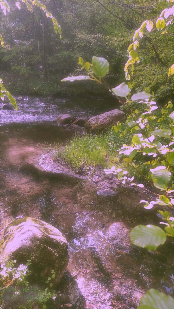 Mærk magien i luften med denne smukke Fairy Aesthetic-baggrund! Wallpapers