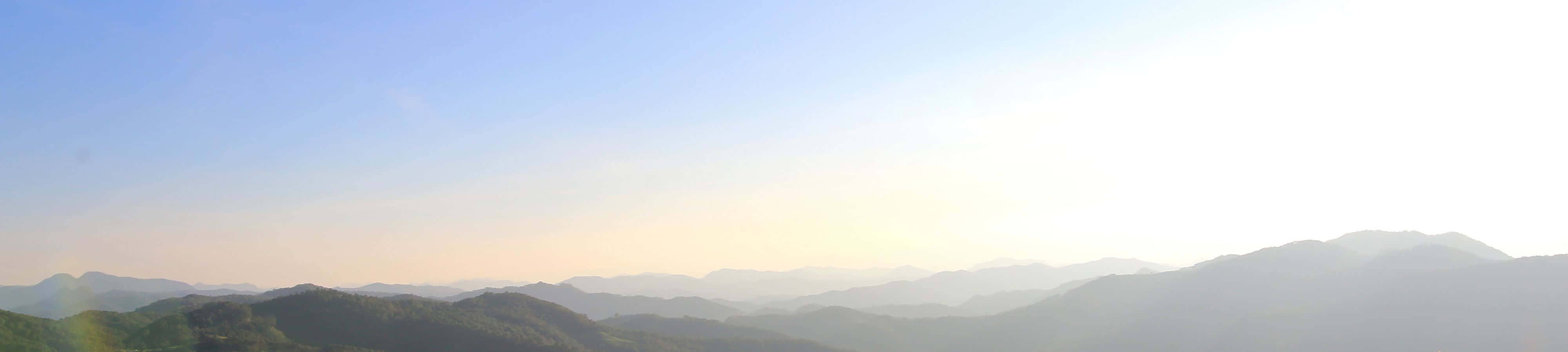 Mærk naturens beroligende brise Wallpapers