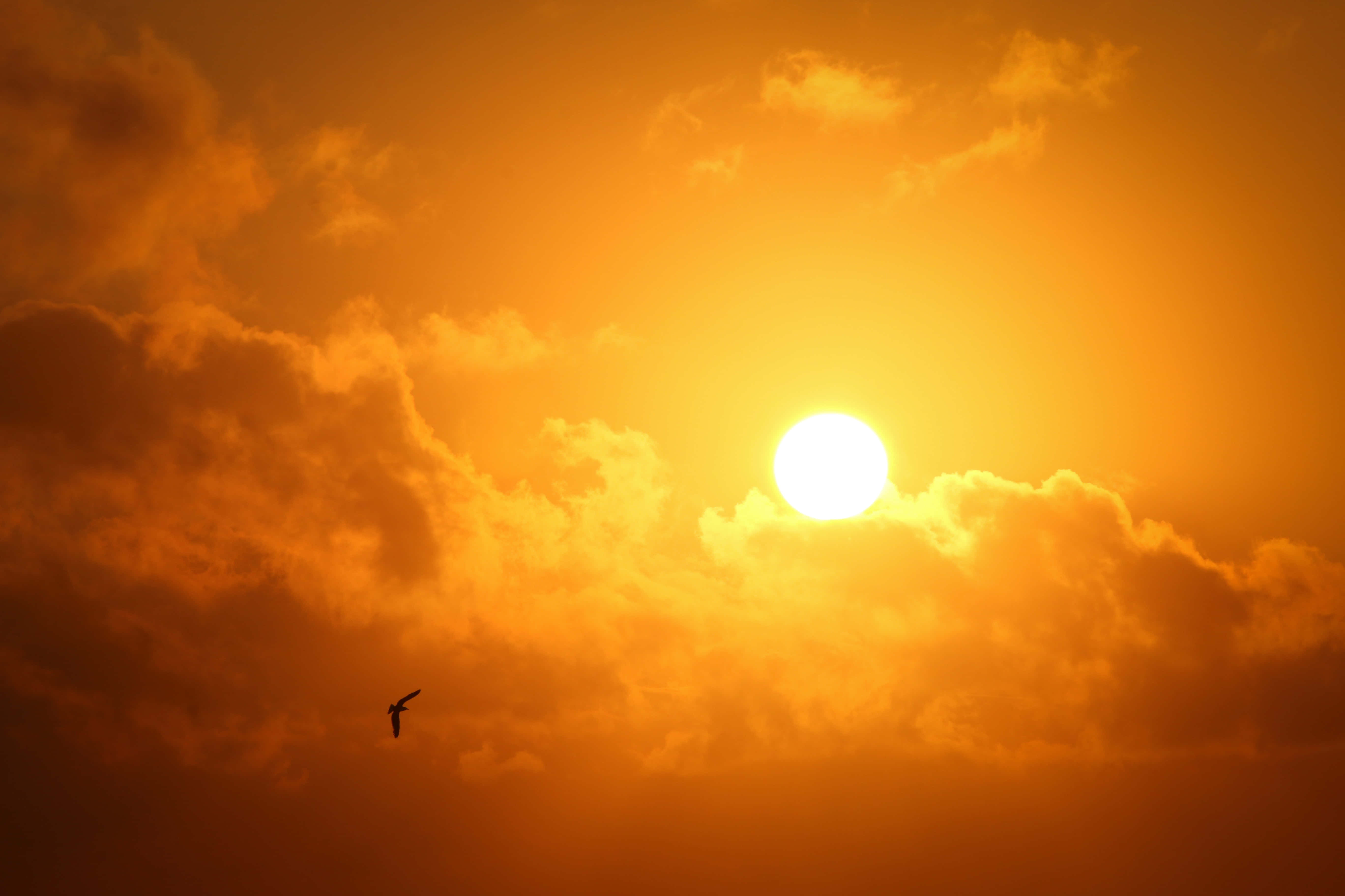 Mærk roen og skønheden ved en solnedgang Wallpapers