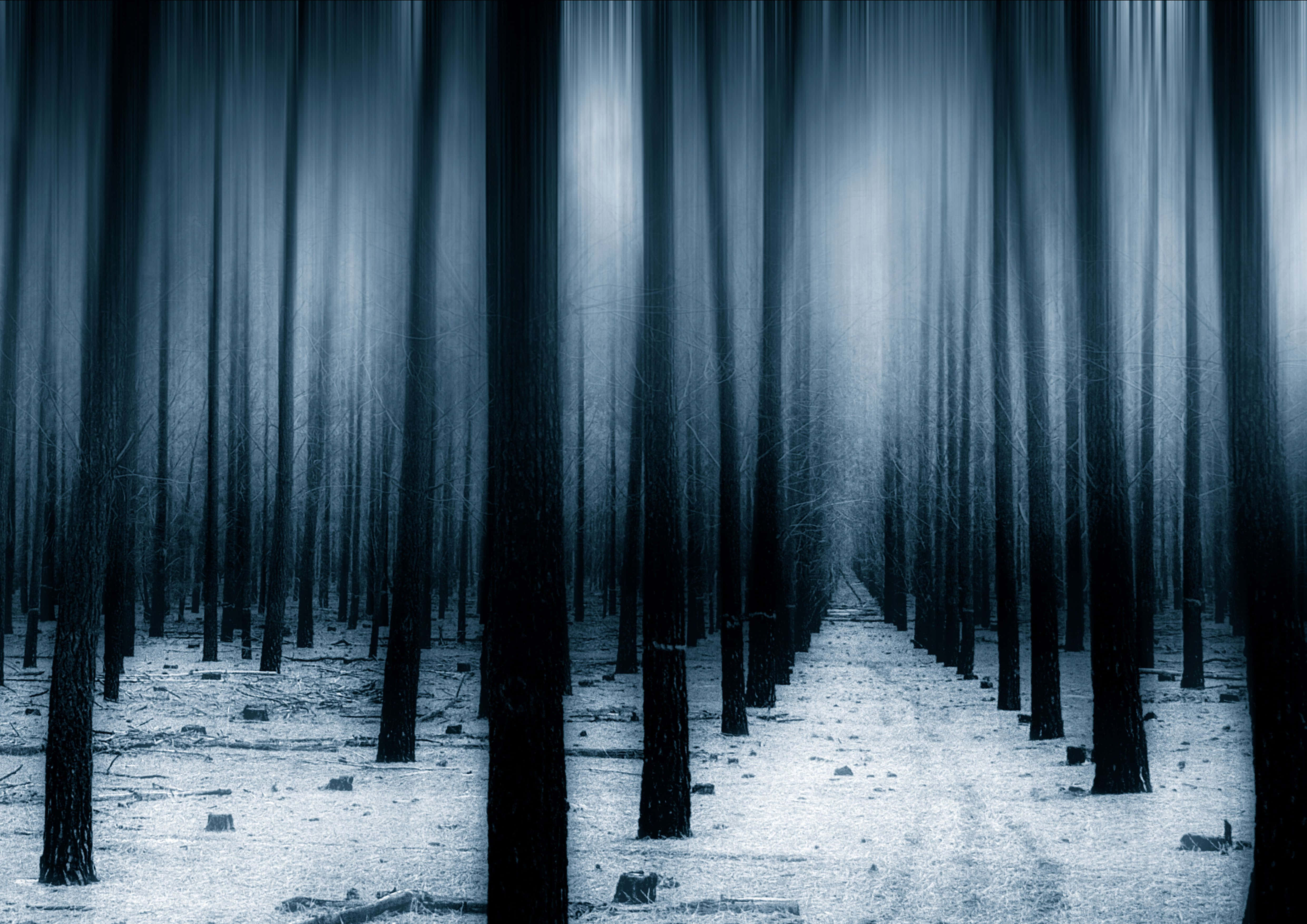 Mørk skov baggrund Wallpapers
