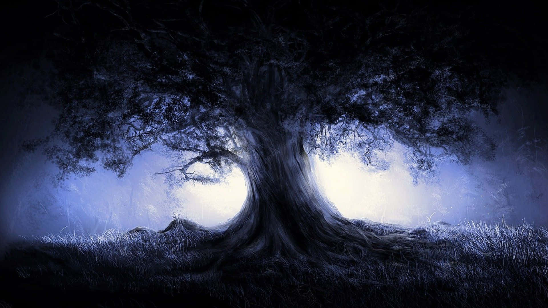 Mørk Skov Baggrund Wallpapers