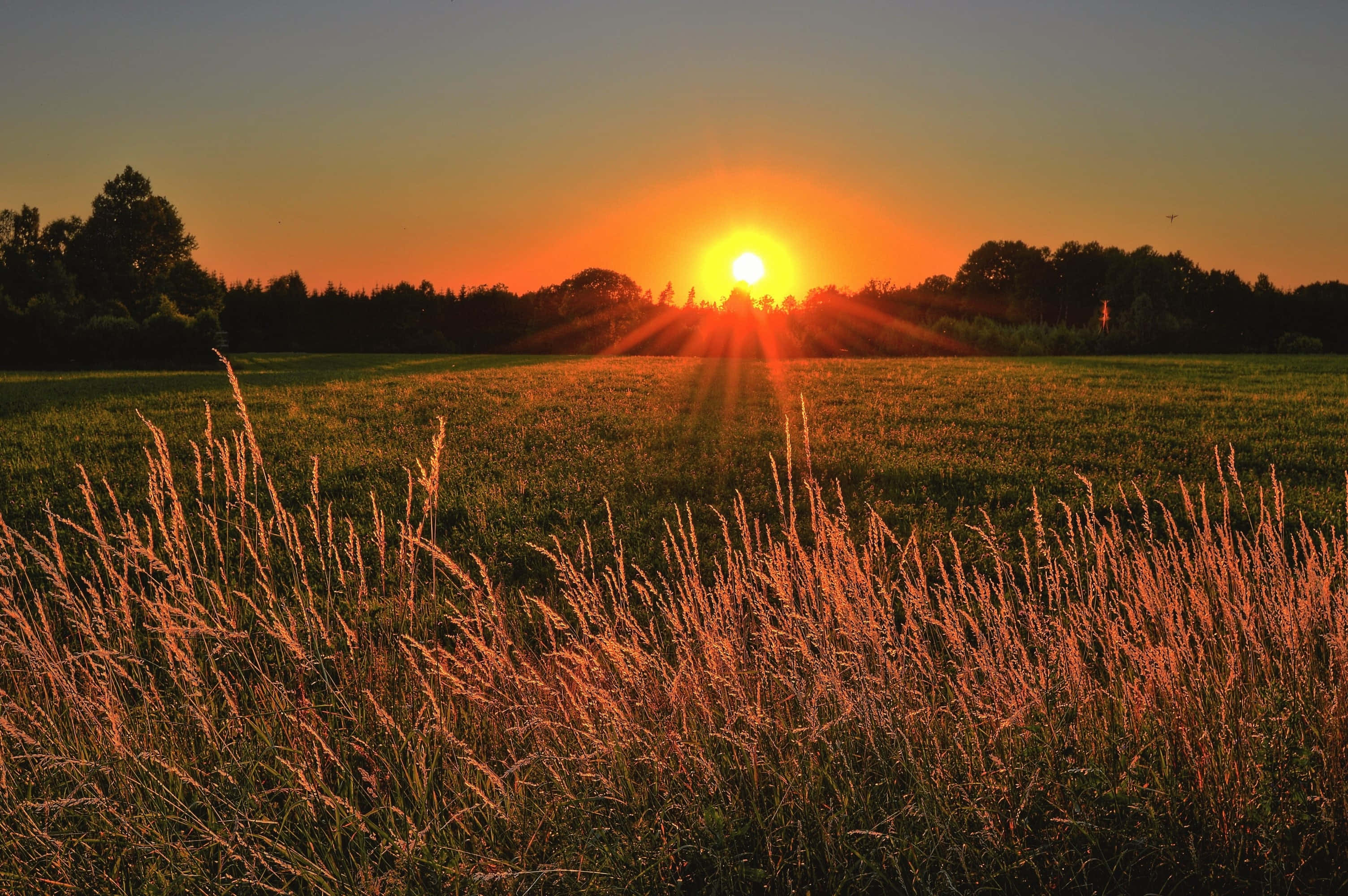 Mærk solens varme, mens du beundrer en smuk solnedgang. Wallpapers