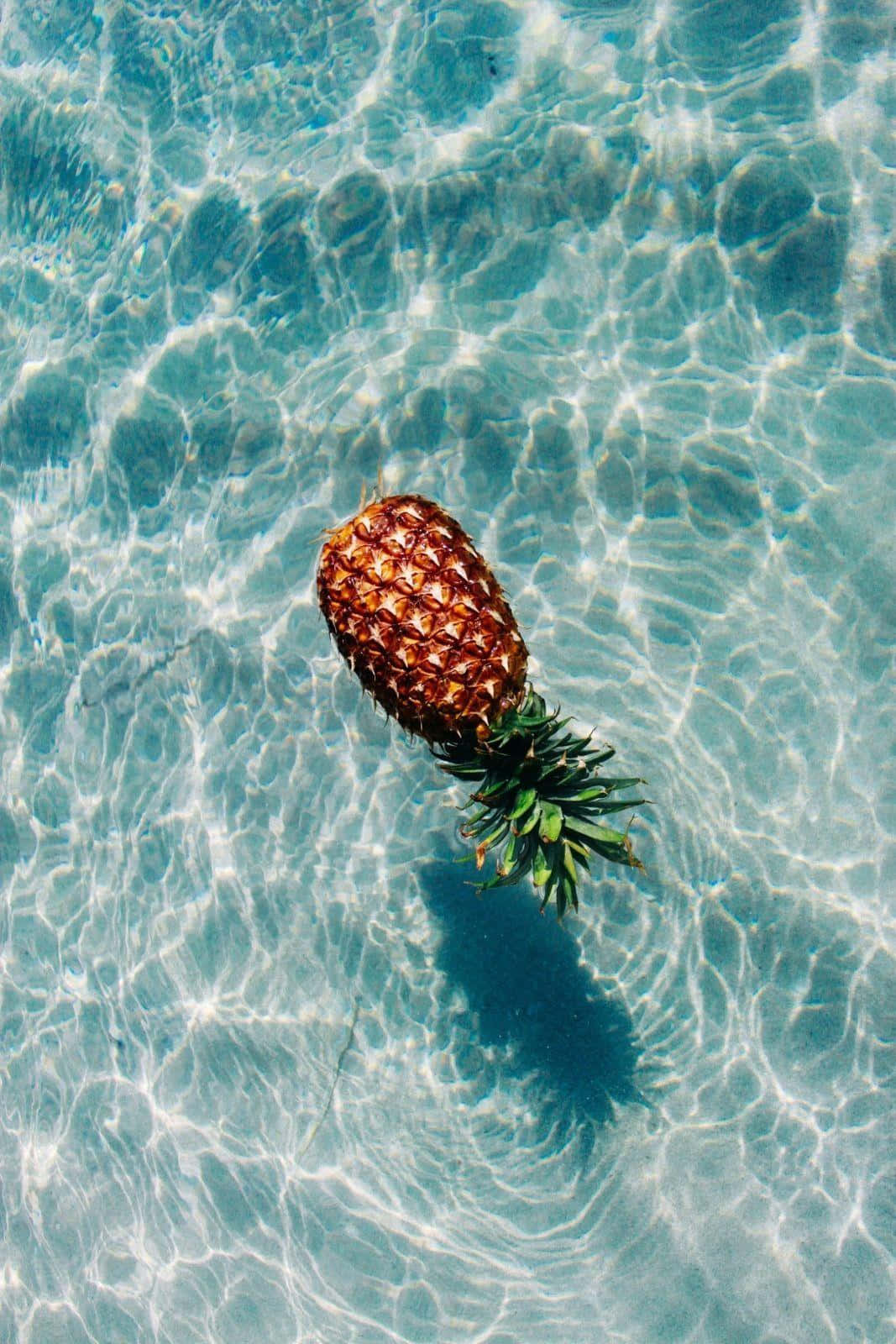 Mærk sommerbrisen og lad solen skinne på dit ansigt Wallpapers