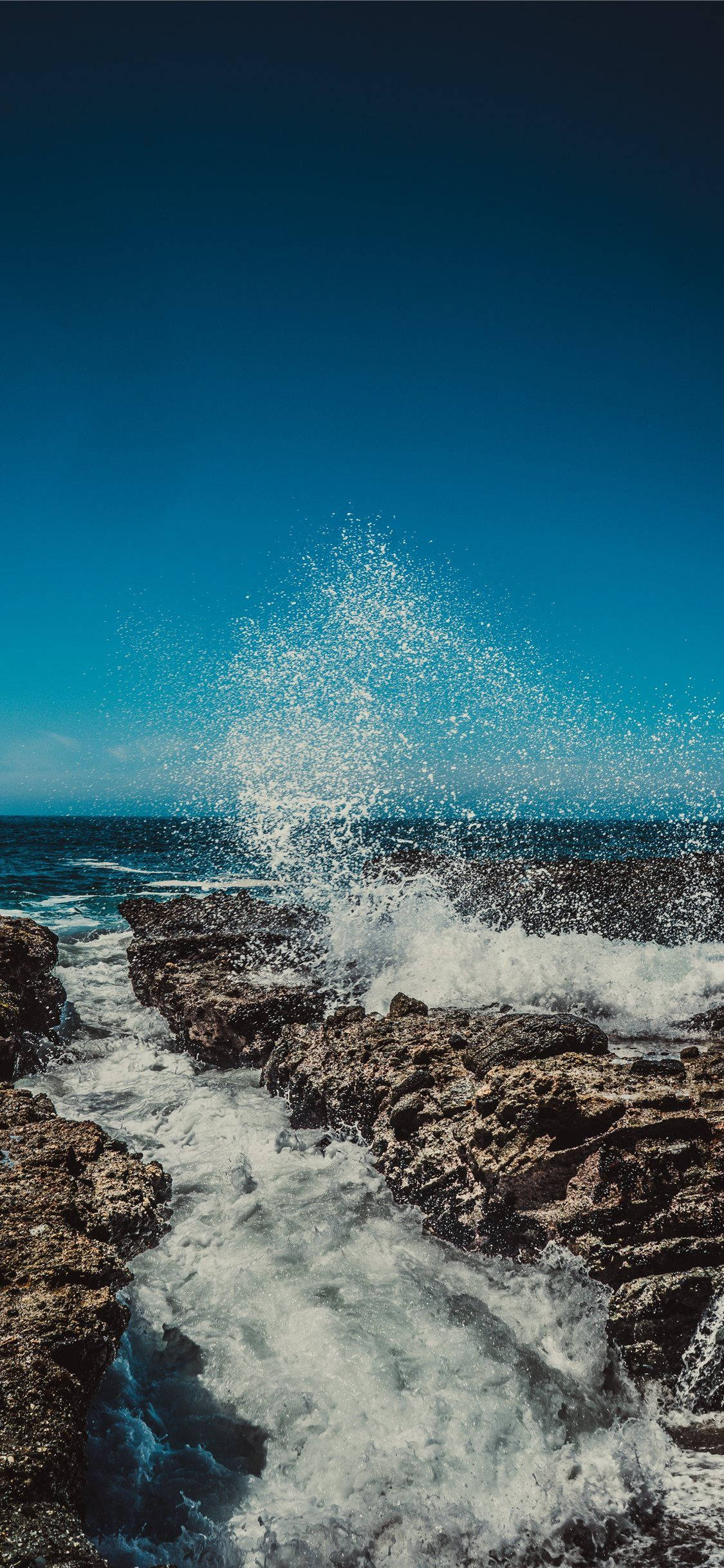 Mærk sommervindene med iPhone 11 Wallpapers