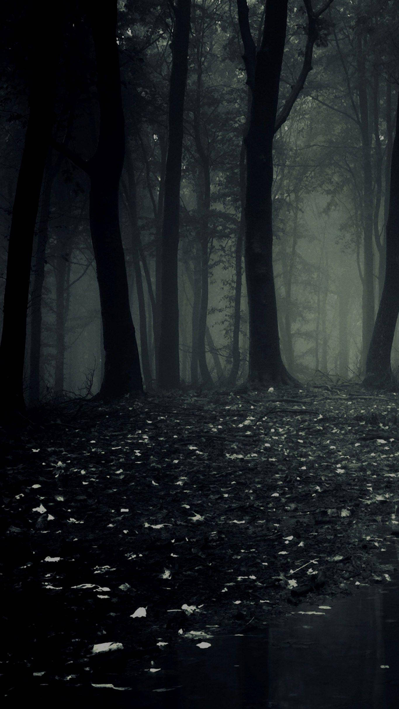 Mørk Telefon Skræmmende Skov Wallpapers
