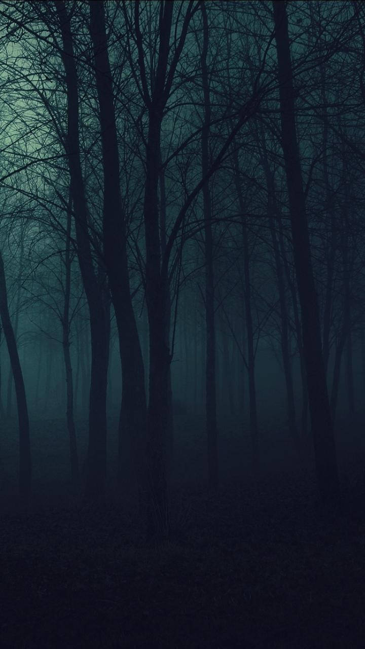 Mørk Telefon Uhyggelig Skov Wallpapers