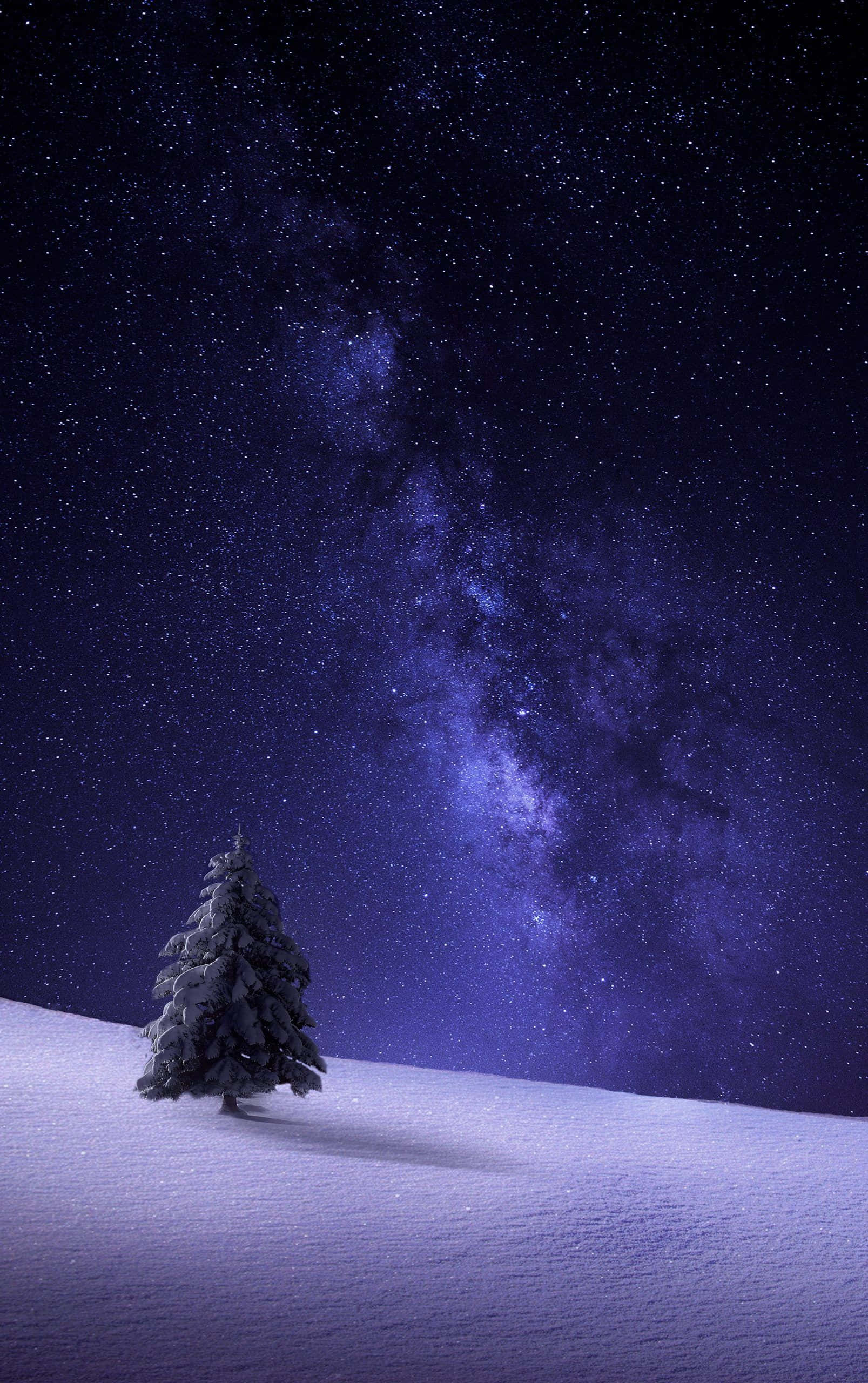 Mærk vinterens kulde med Snow iPhone Wallpapers