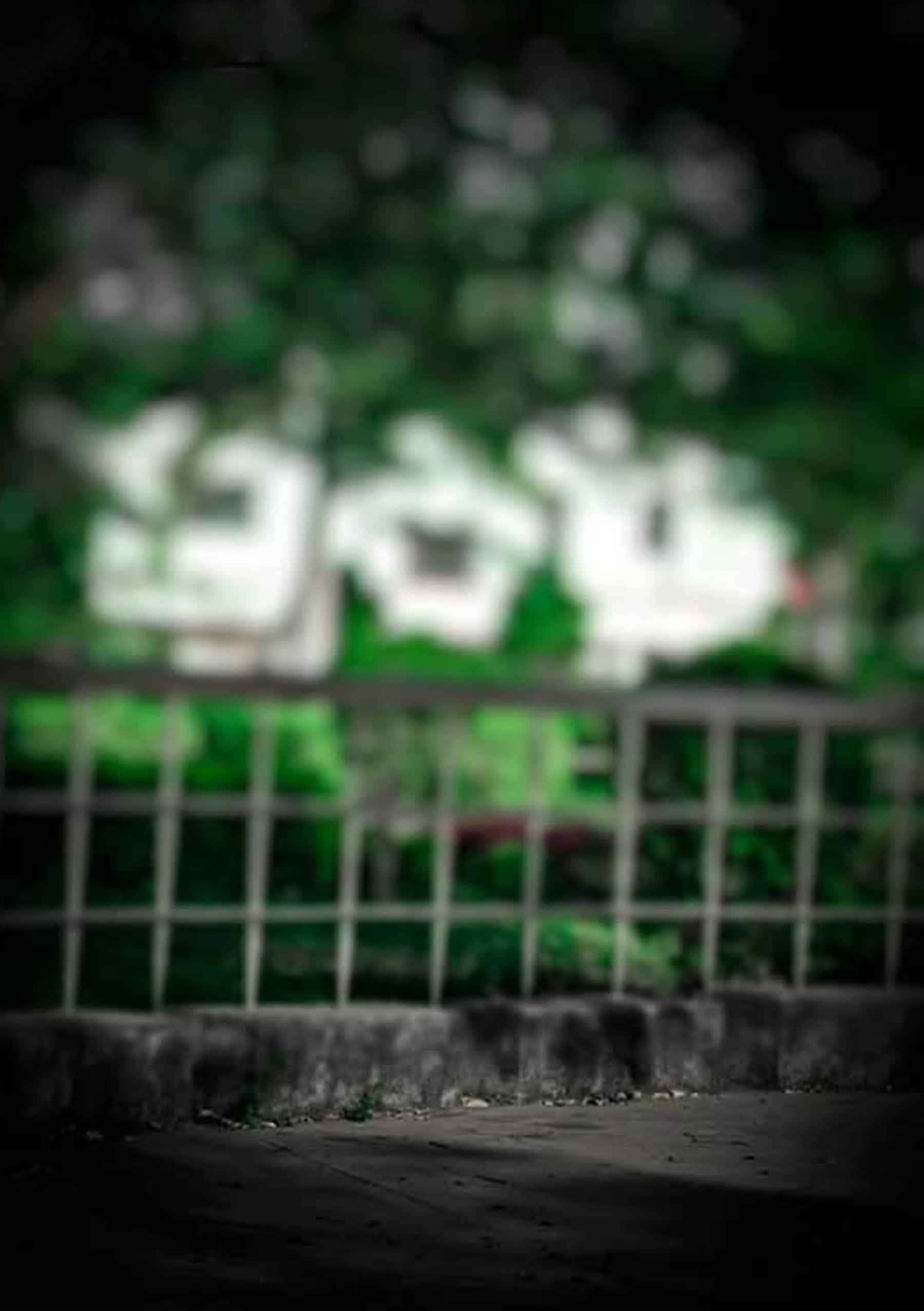 Mørkegrønne Dybder Wallpapers
