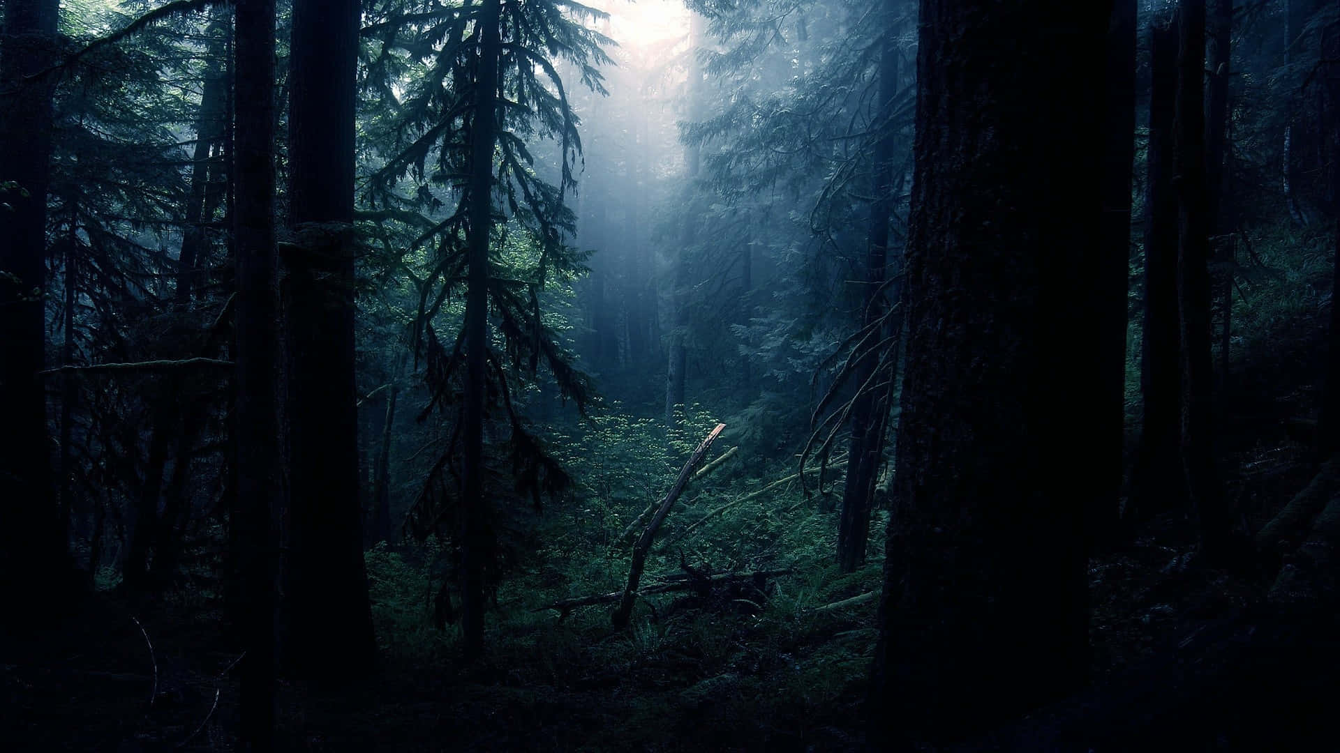 Mørkt tema baggrund Wallpapers