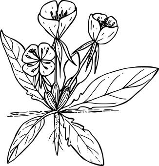 Mørkt tomt lærred Wallpapers