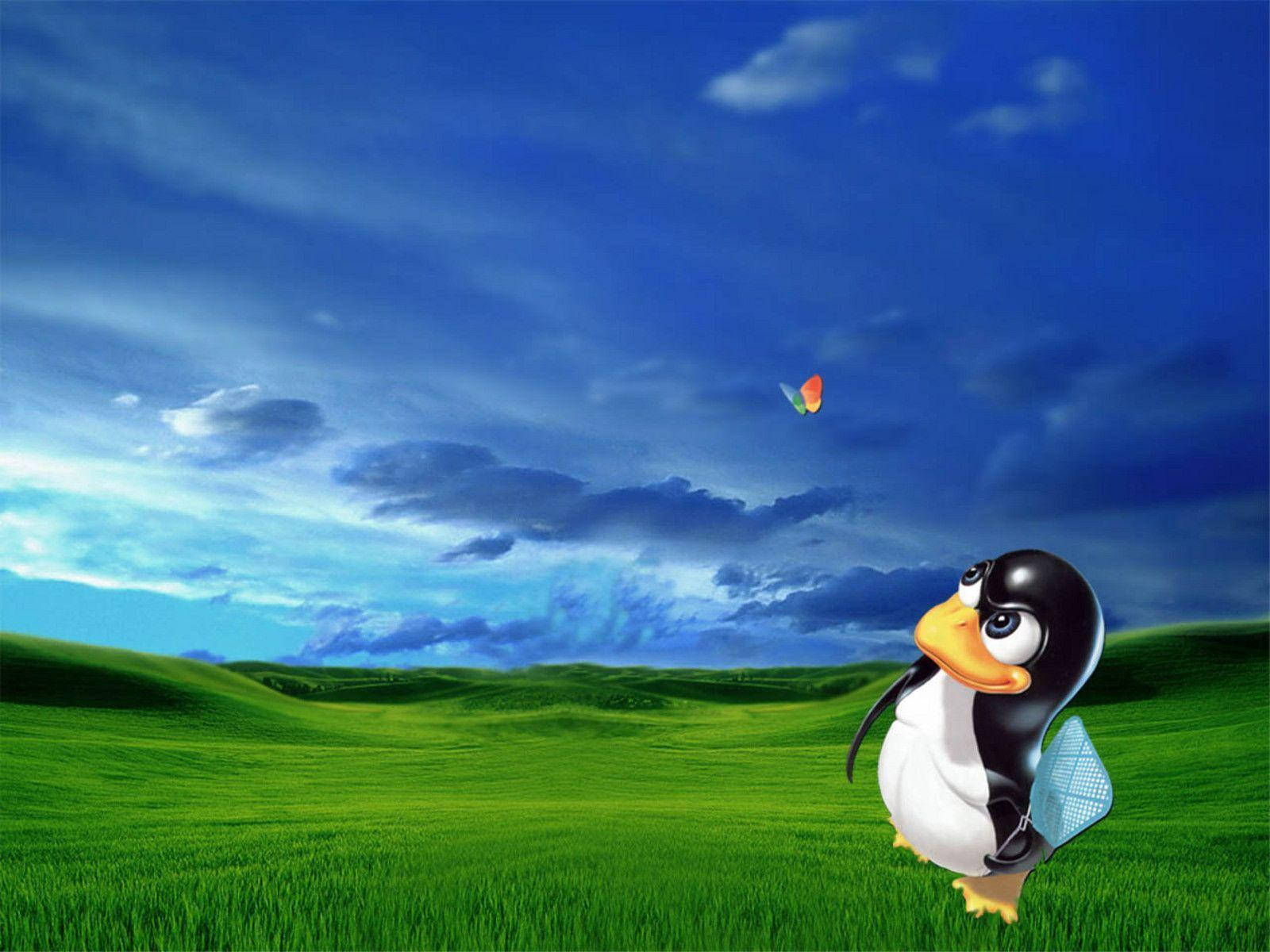 MSN sommerfugl med Tux Wallpapers