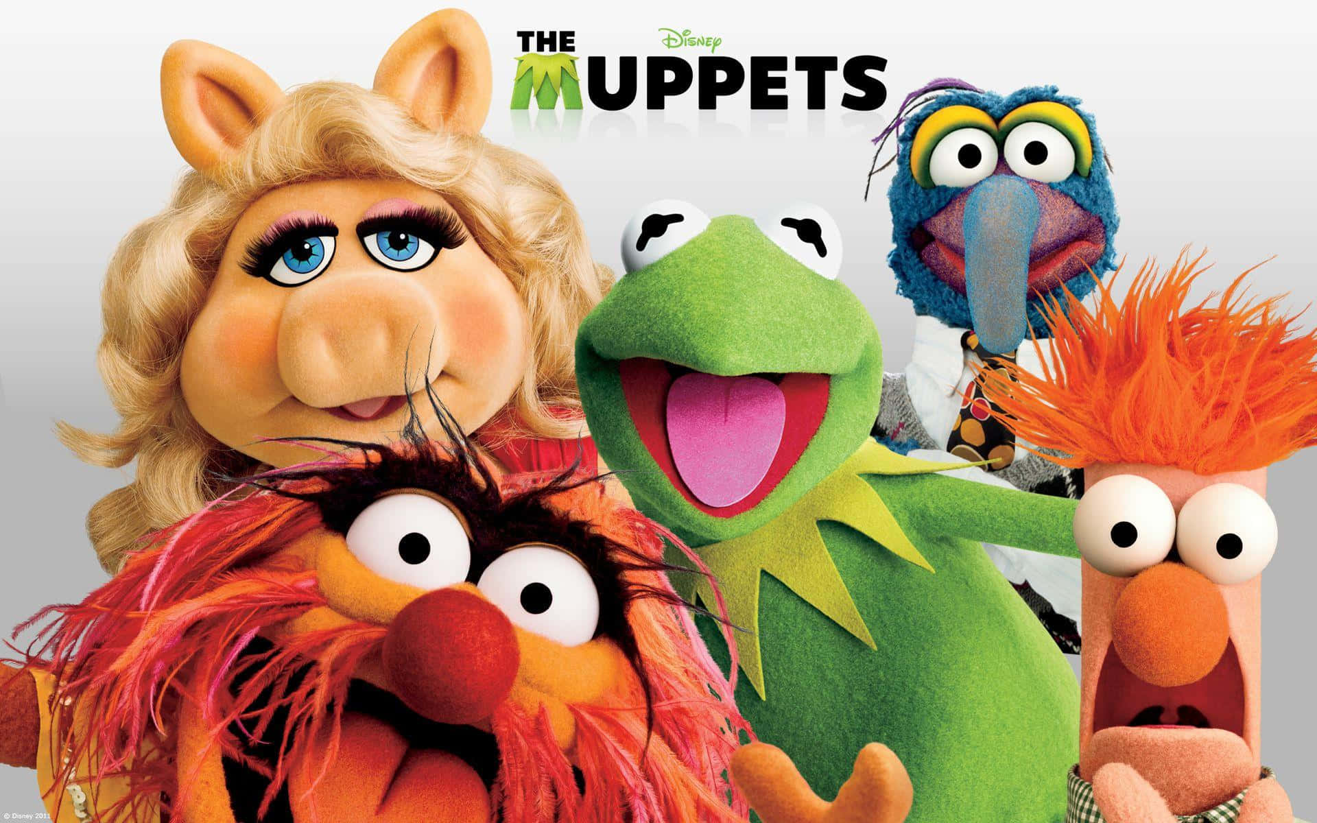 Muppets filmplakat Wallpapers