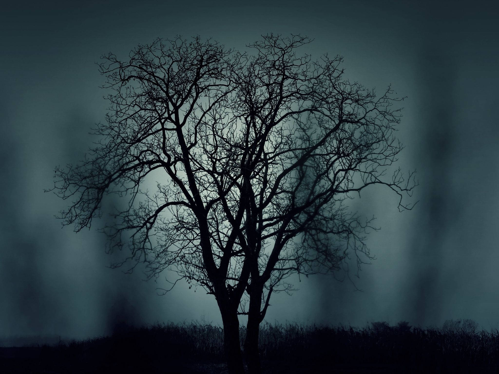 Mystisk bladløst træ som kunstværk Wallpapers
