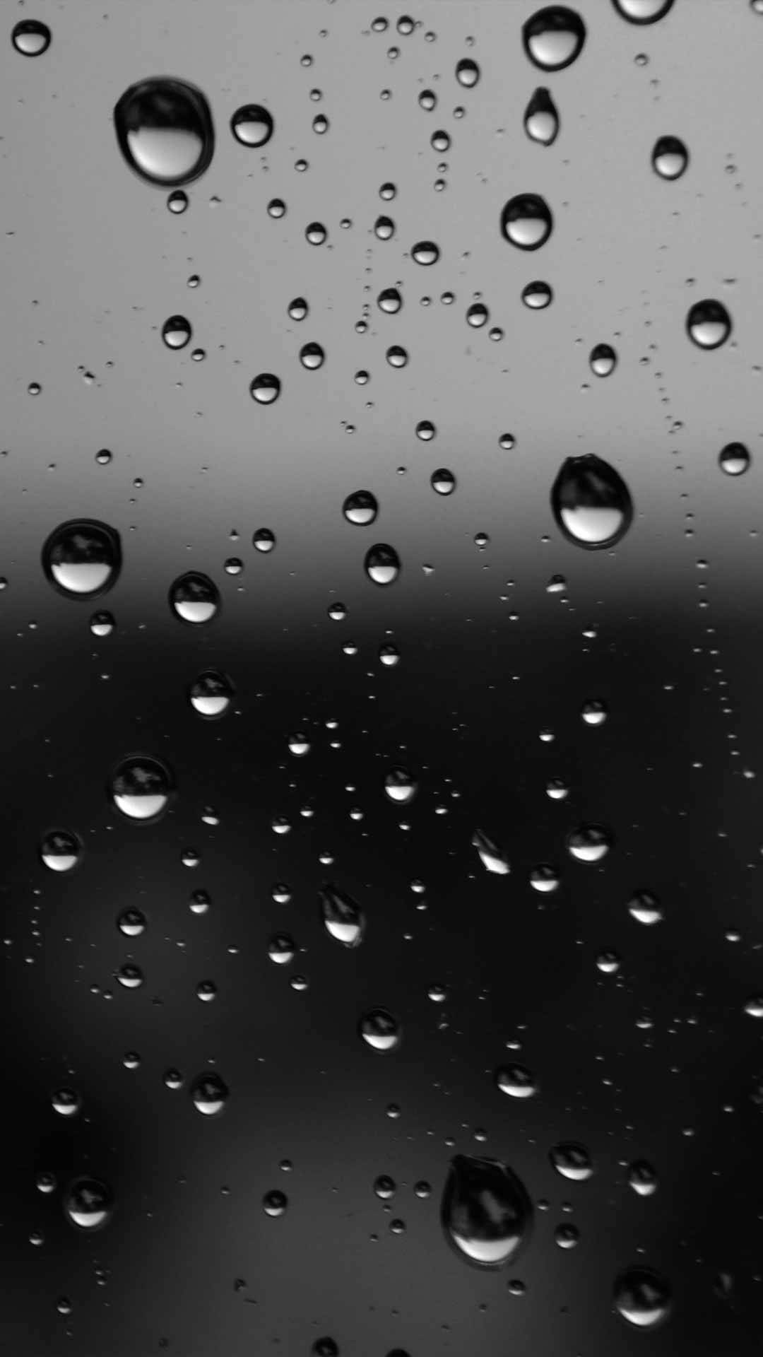 Mystisk mørk skovscene Wallpapers