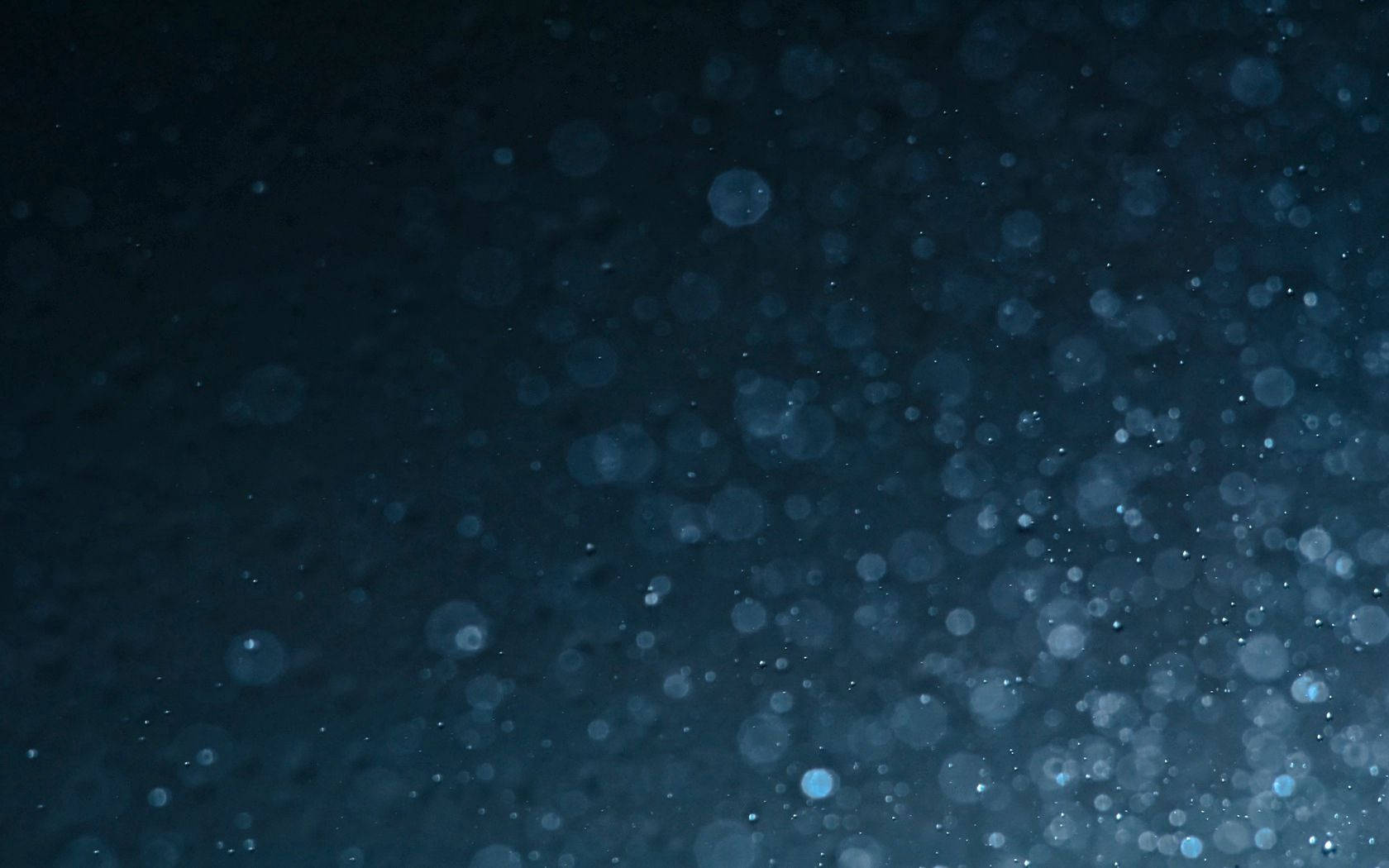 Mystisk portal i mørk skov Wallpapers