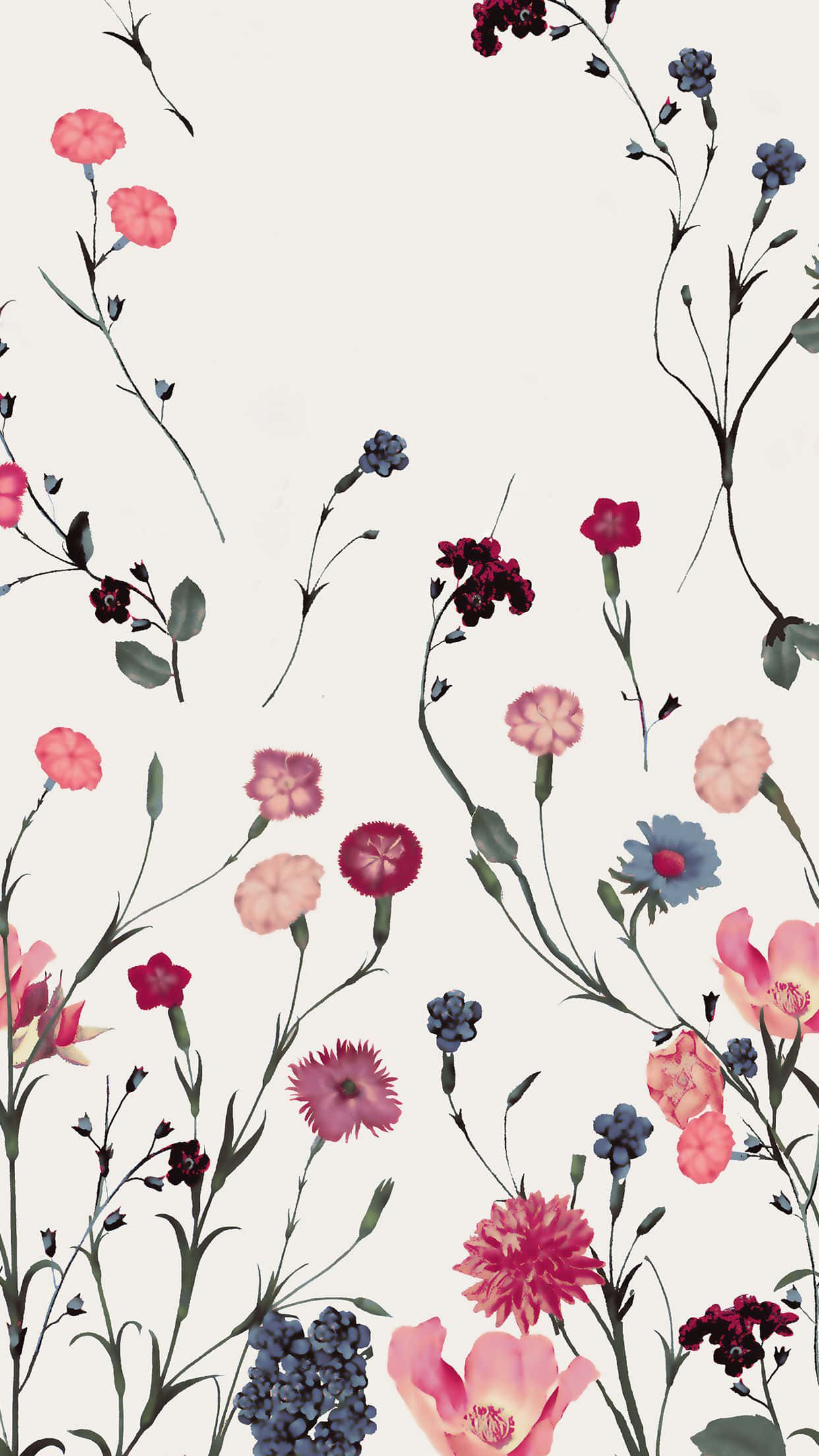 Nærbillede af en farverig blomst oplyst af iPhone-lys Wallpapers