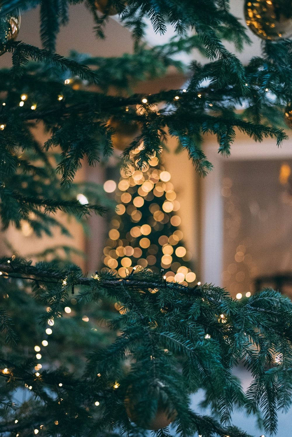 Nærbillede af juletræ i juletiden Wallpapers