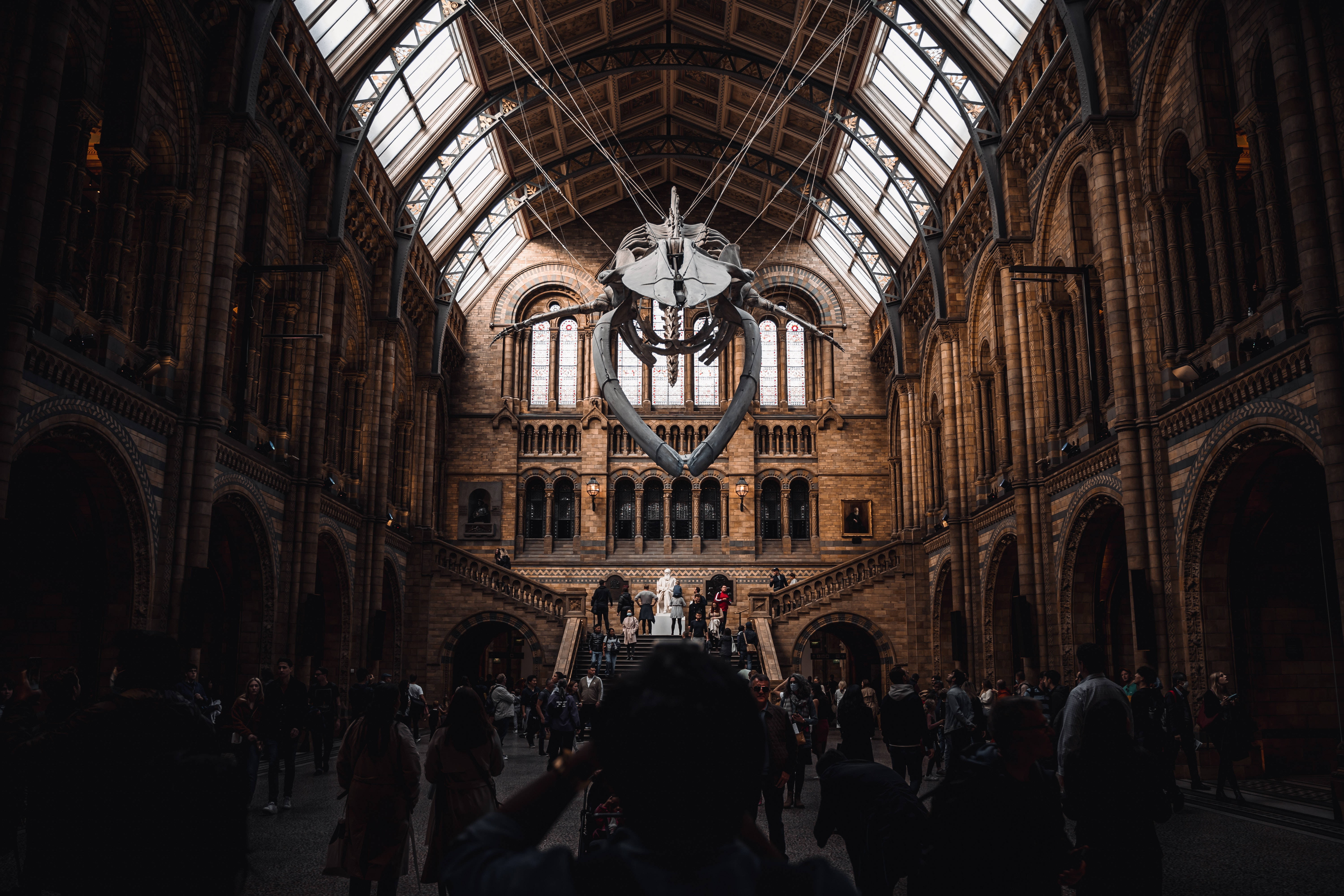 National History Museum Dark Academia Skrivebord Wallpapers