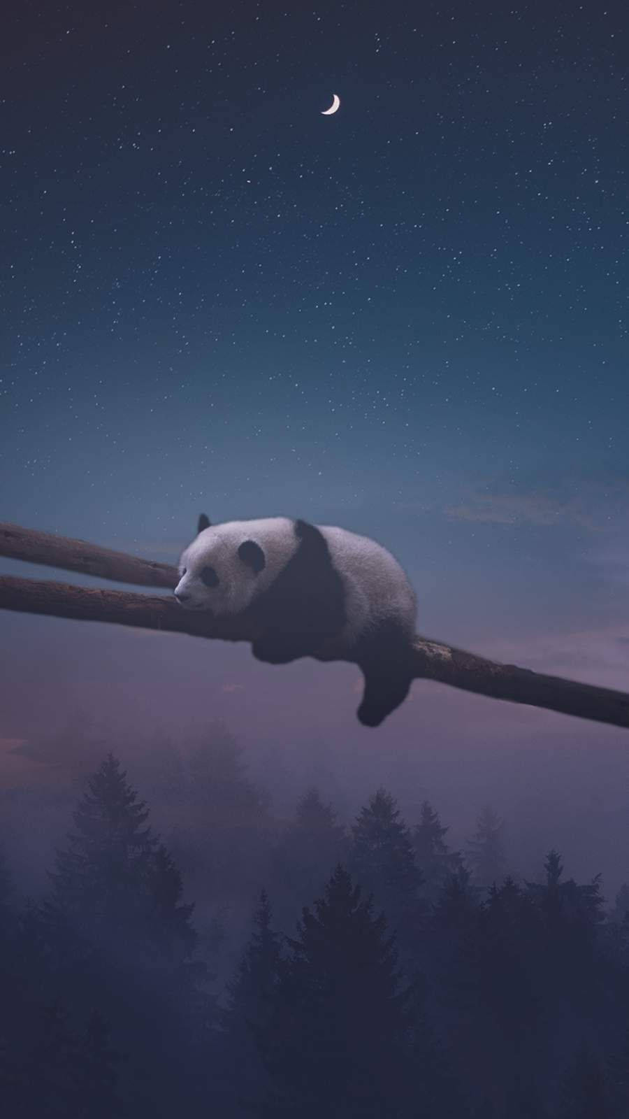 Nattepanda sover Wallpapers