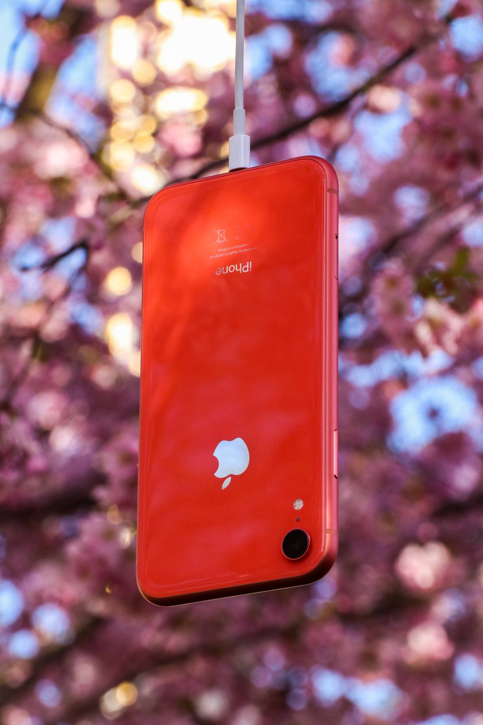Natur iPhone Rød Wallpapers
