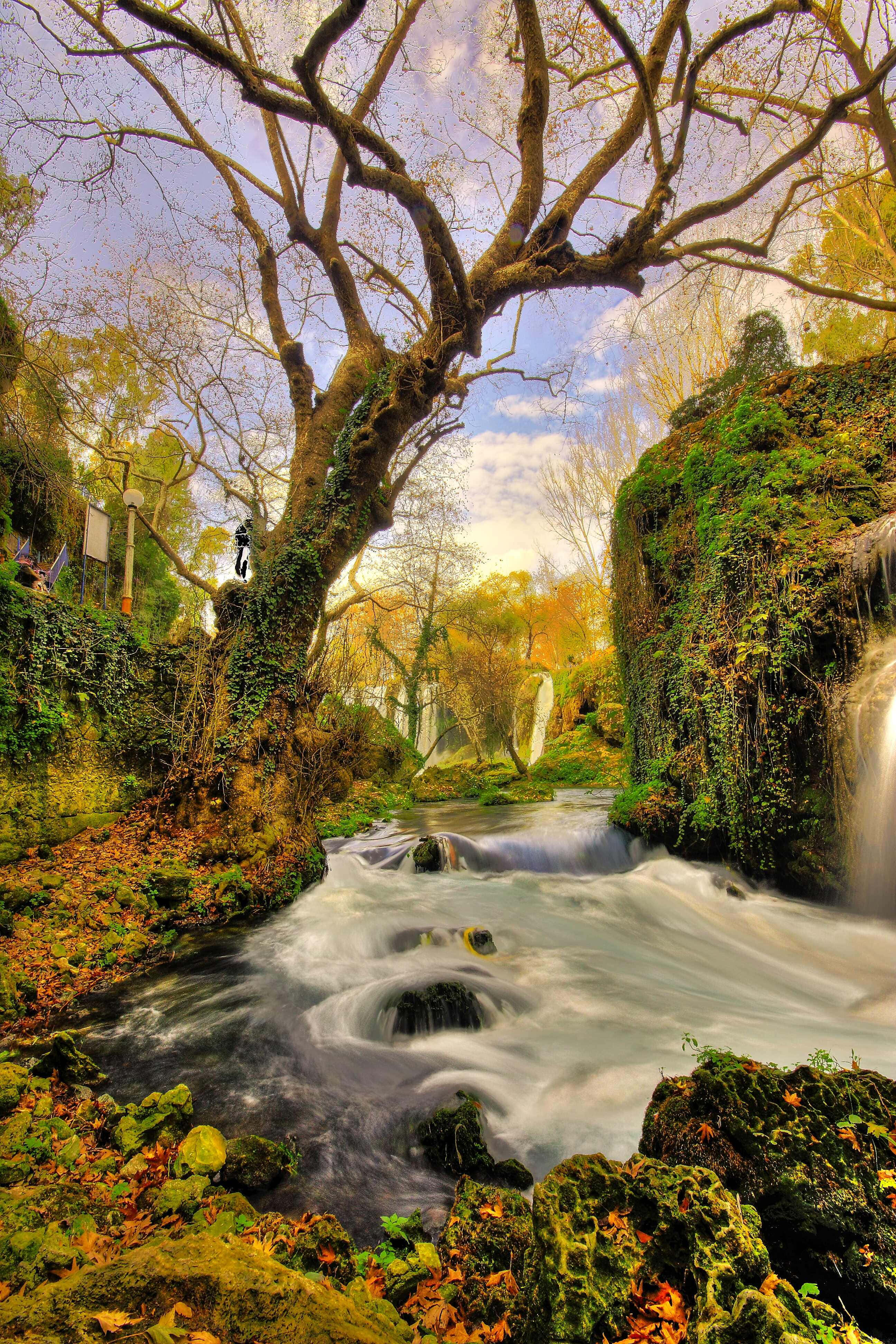 Naturbaggrund Wallpapers