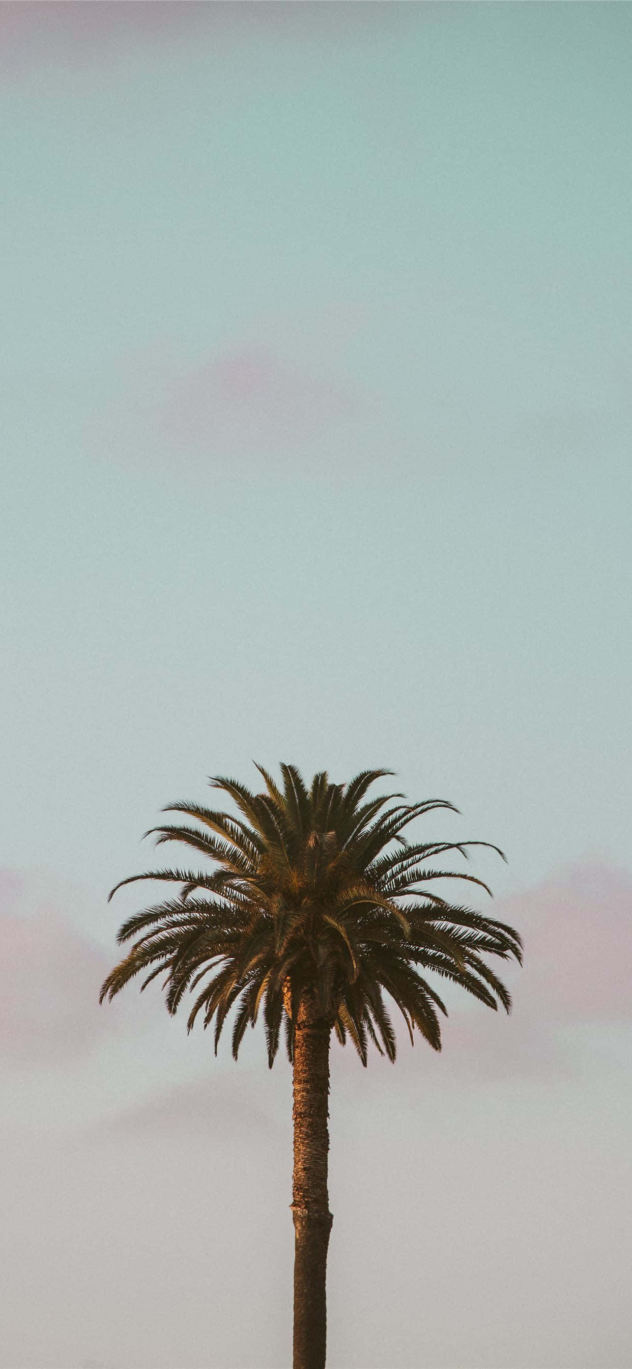 Naturen bringer liv til vores liv Wallpapers