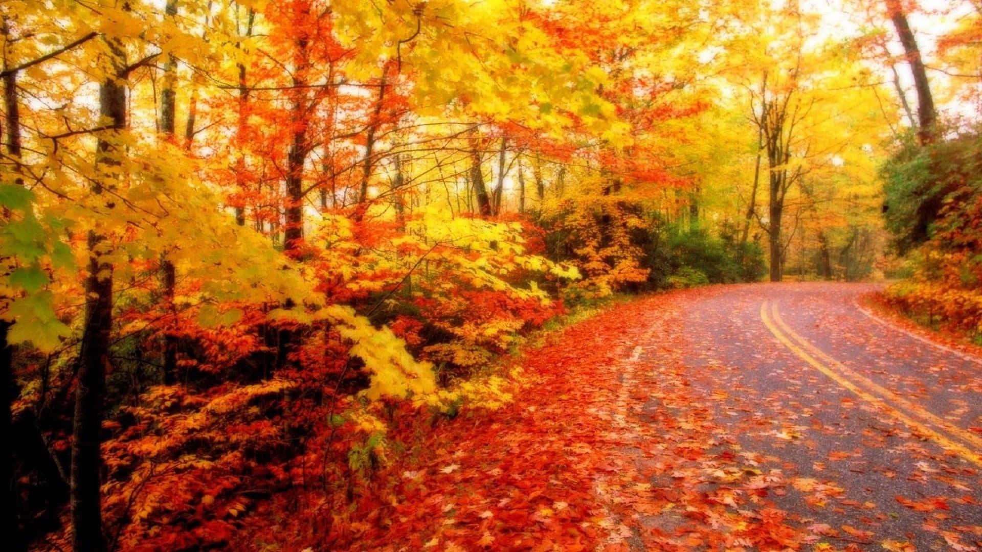 Naturen i al sin pragt Wallpapers