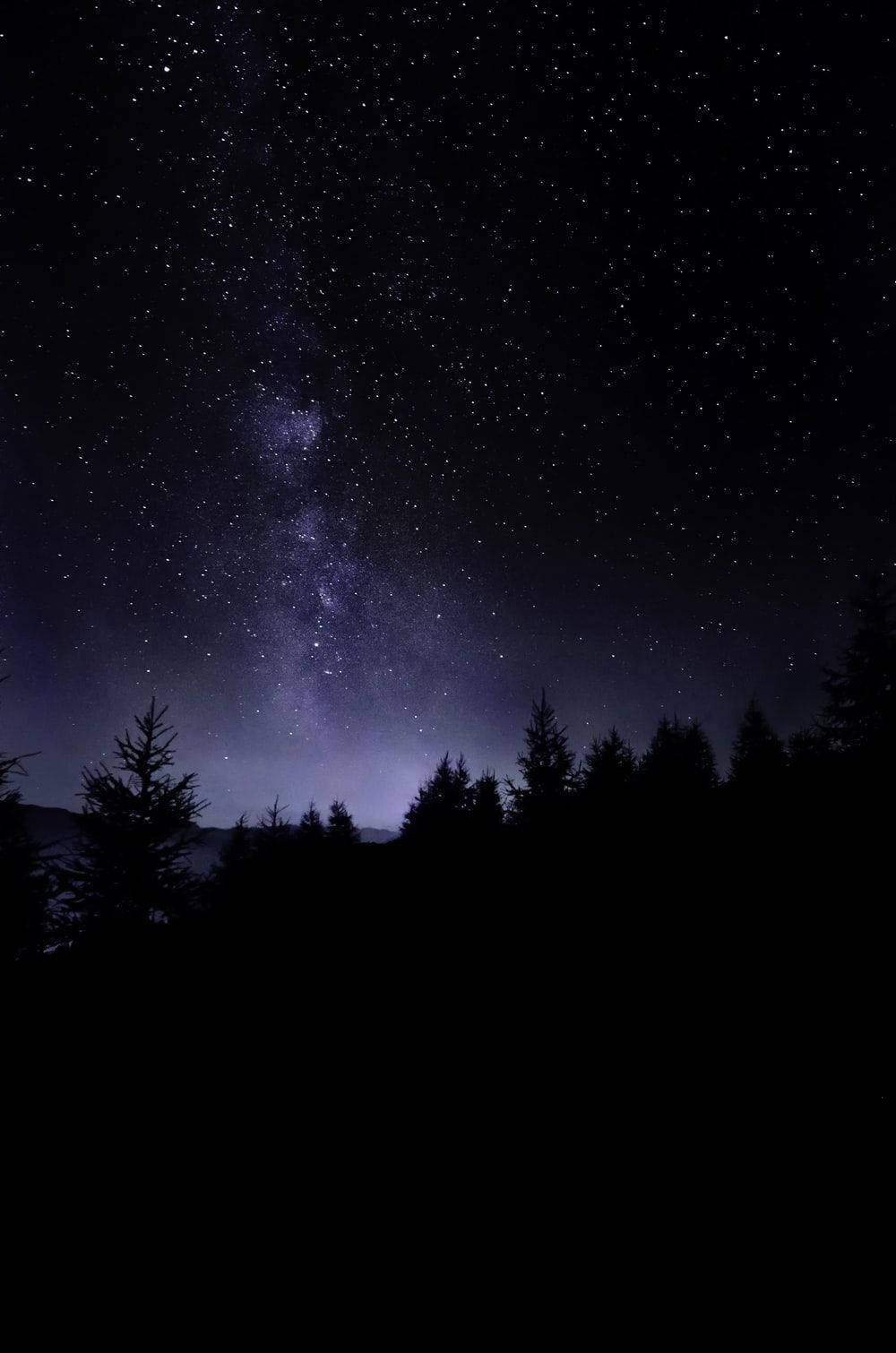 Naturlig mørk skov med stjernehimmel Wallpapers
