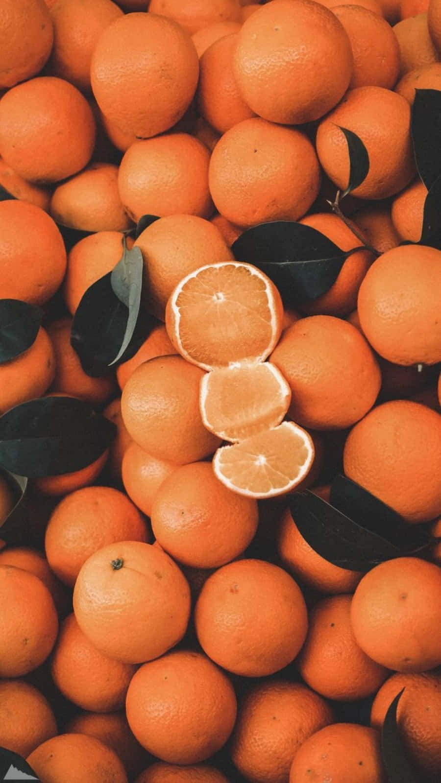 Naturlig skønhed kommer i mange farver, inklusive orange 🍊 Wallpapers