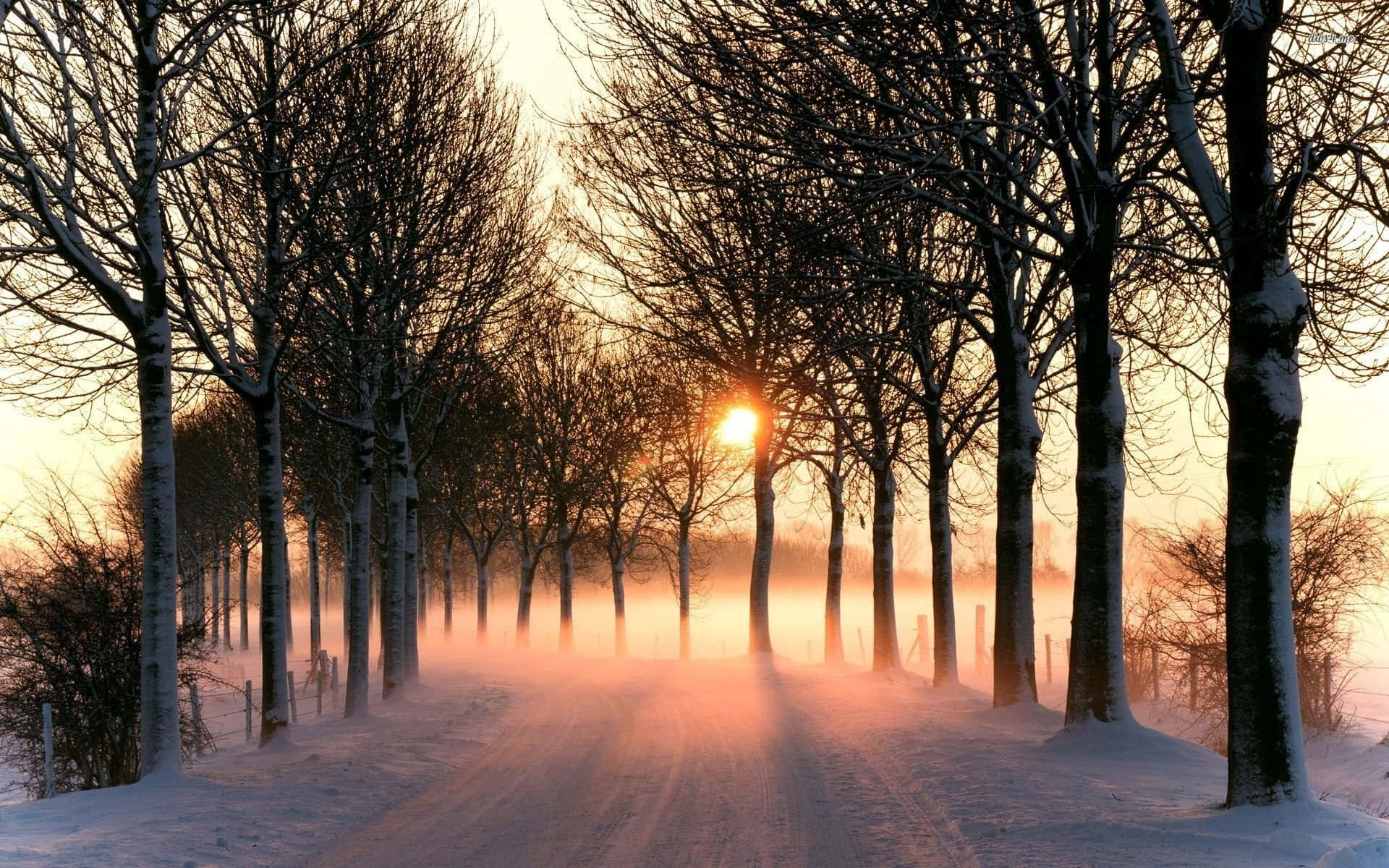 Naturskøn isvej i vintereventyrland Wallpapers