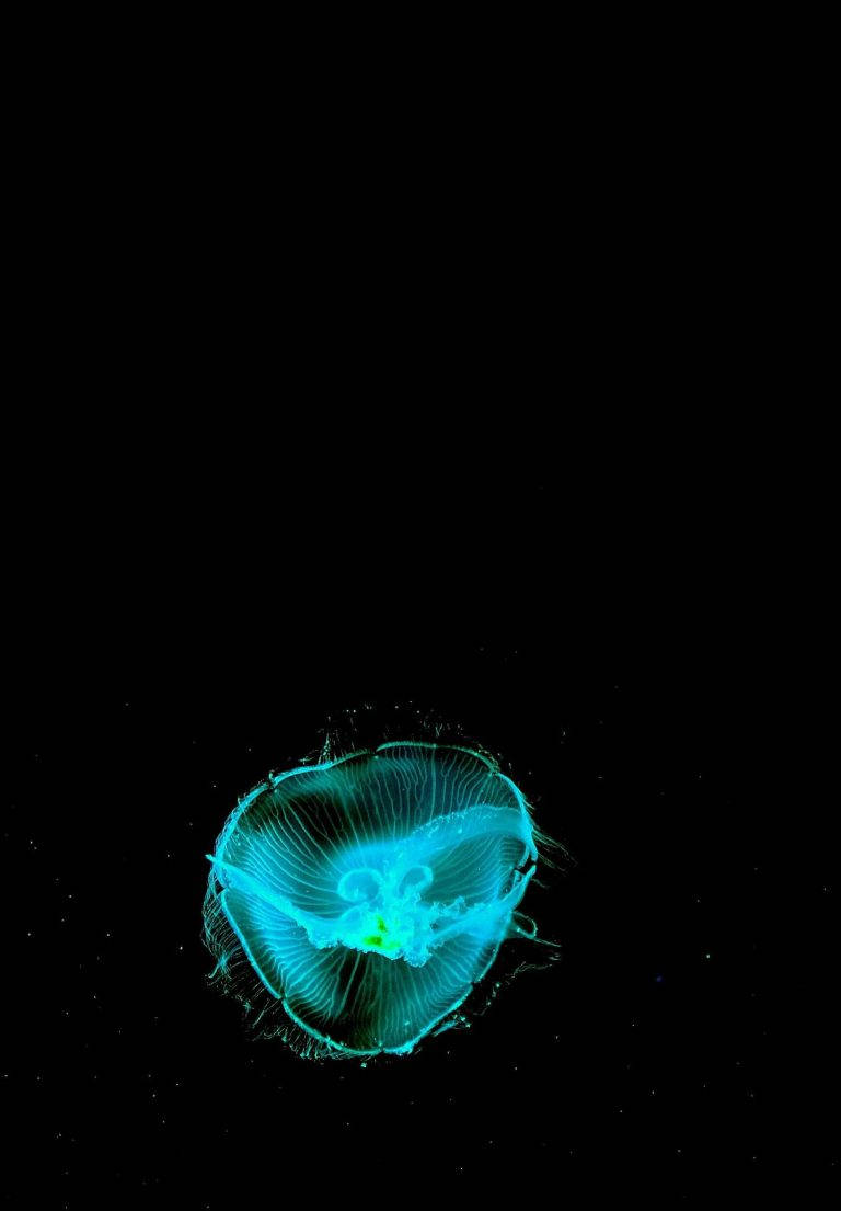 Neon cyan vandmand iPad 2021 Wallpapers