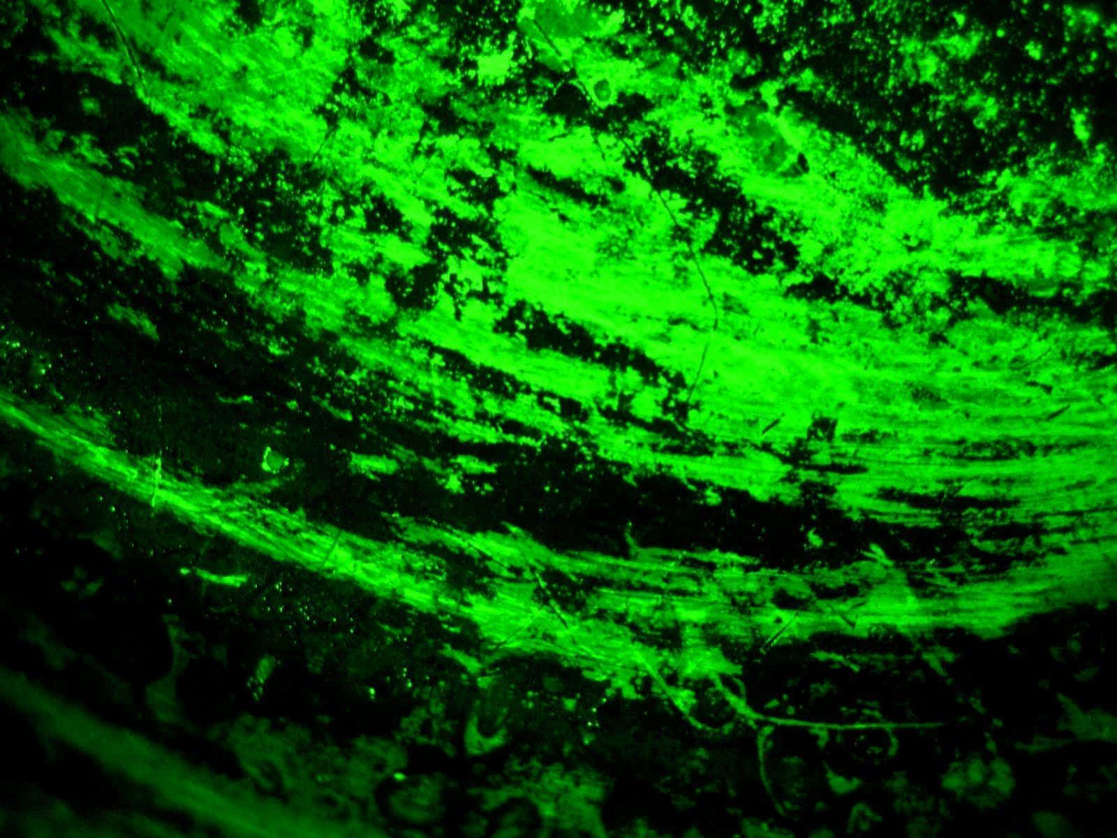 Neon grøn baggrund Wallpapers