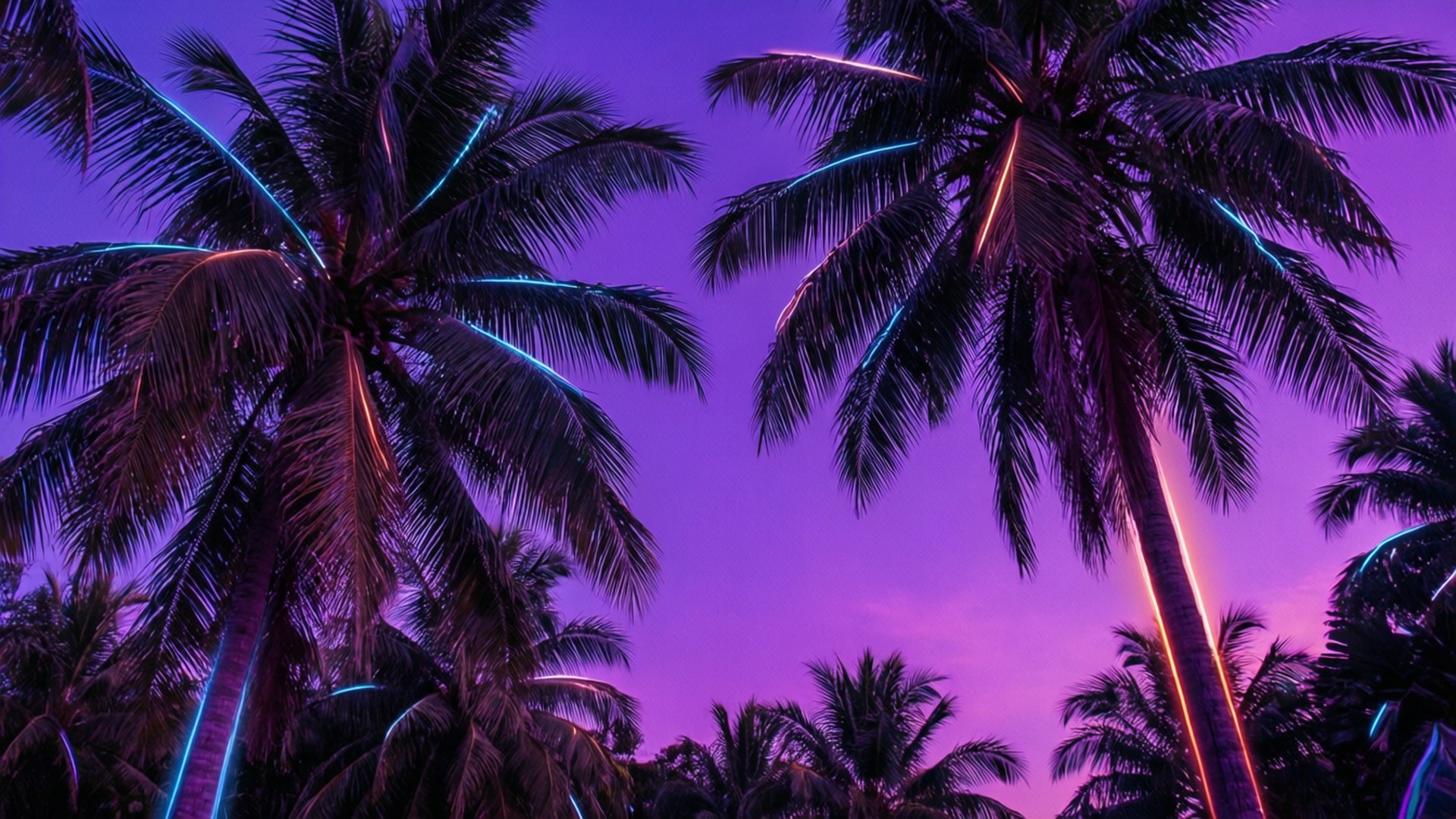 Neon Palmetræer Wallpapers