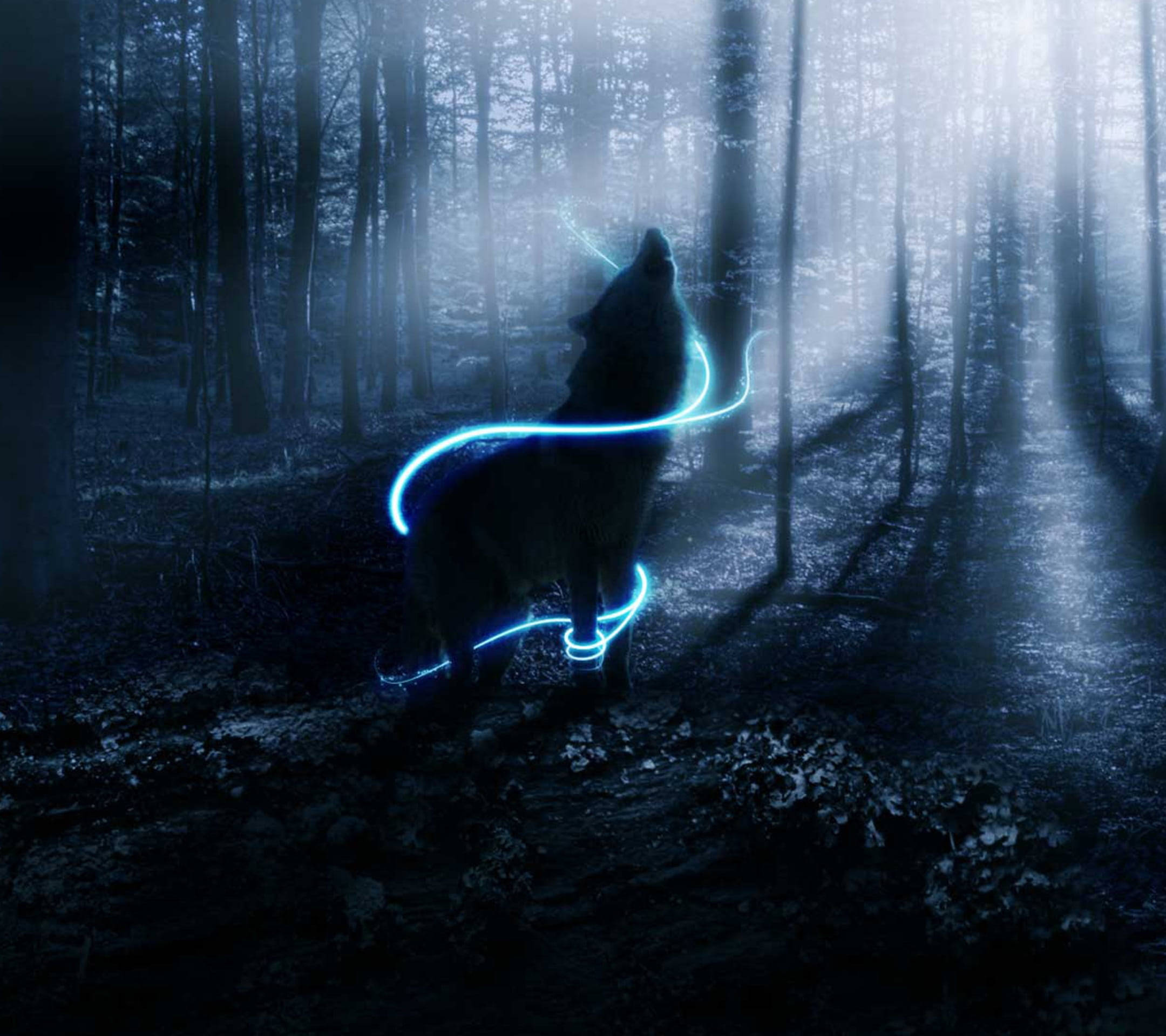 Neonblå animeulv i æterisk skov Wallpapers