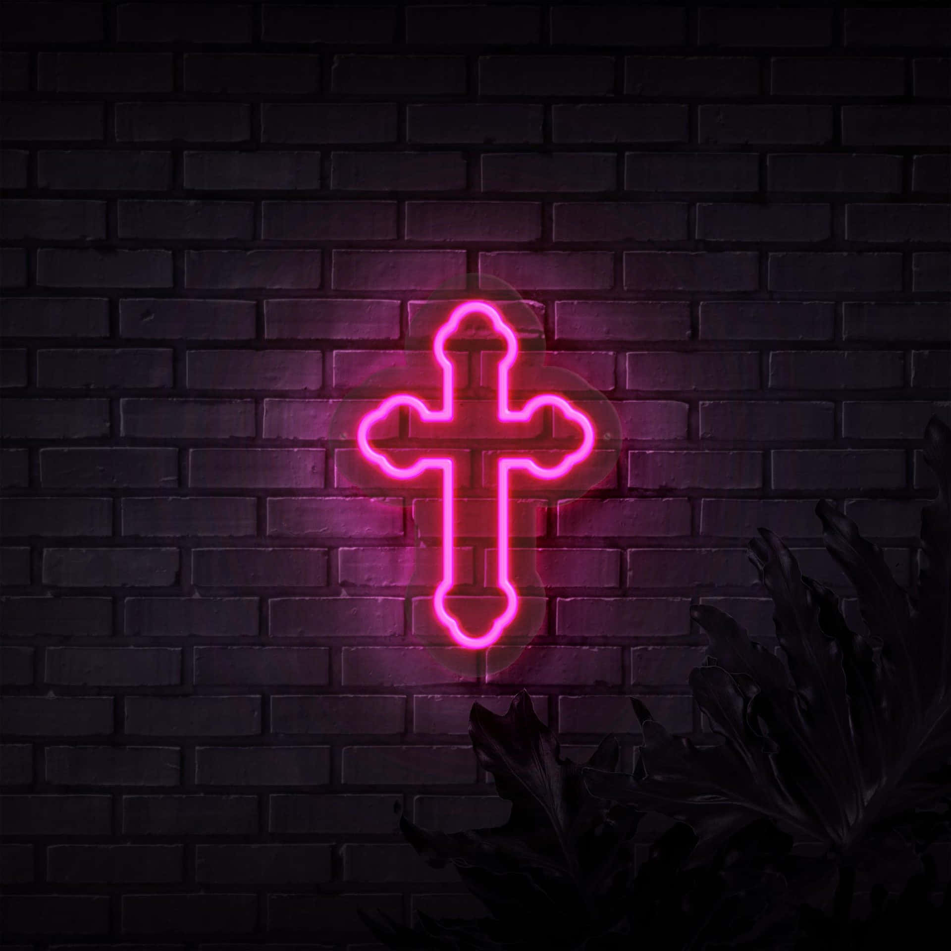 Neonkors i neon pink Wallpapers