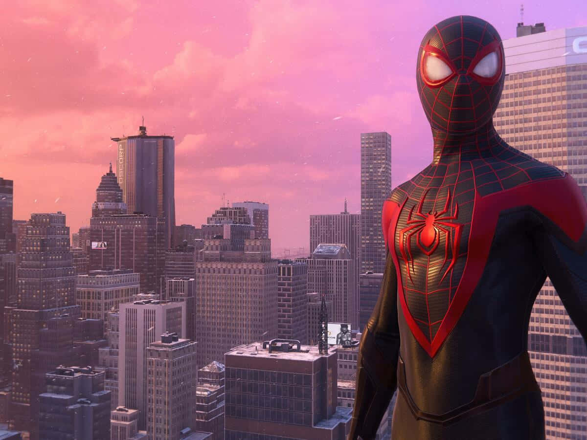 Netkastende helt: Spiderman Wallpapers