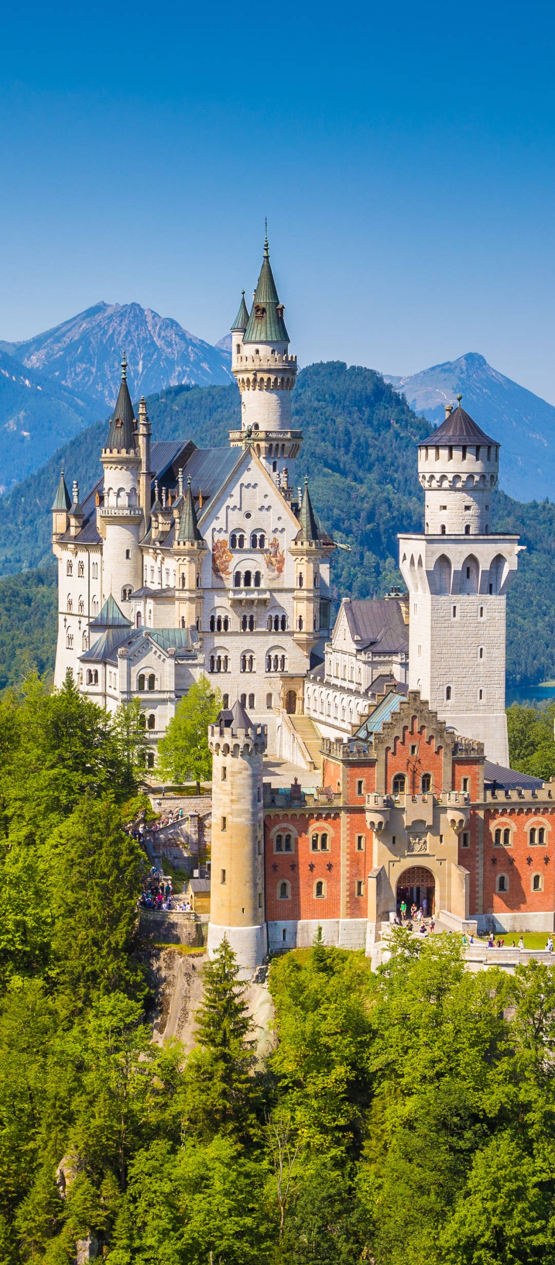 Neuschwanstein Slot Bjergbaggrund Wallpapers