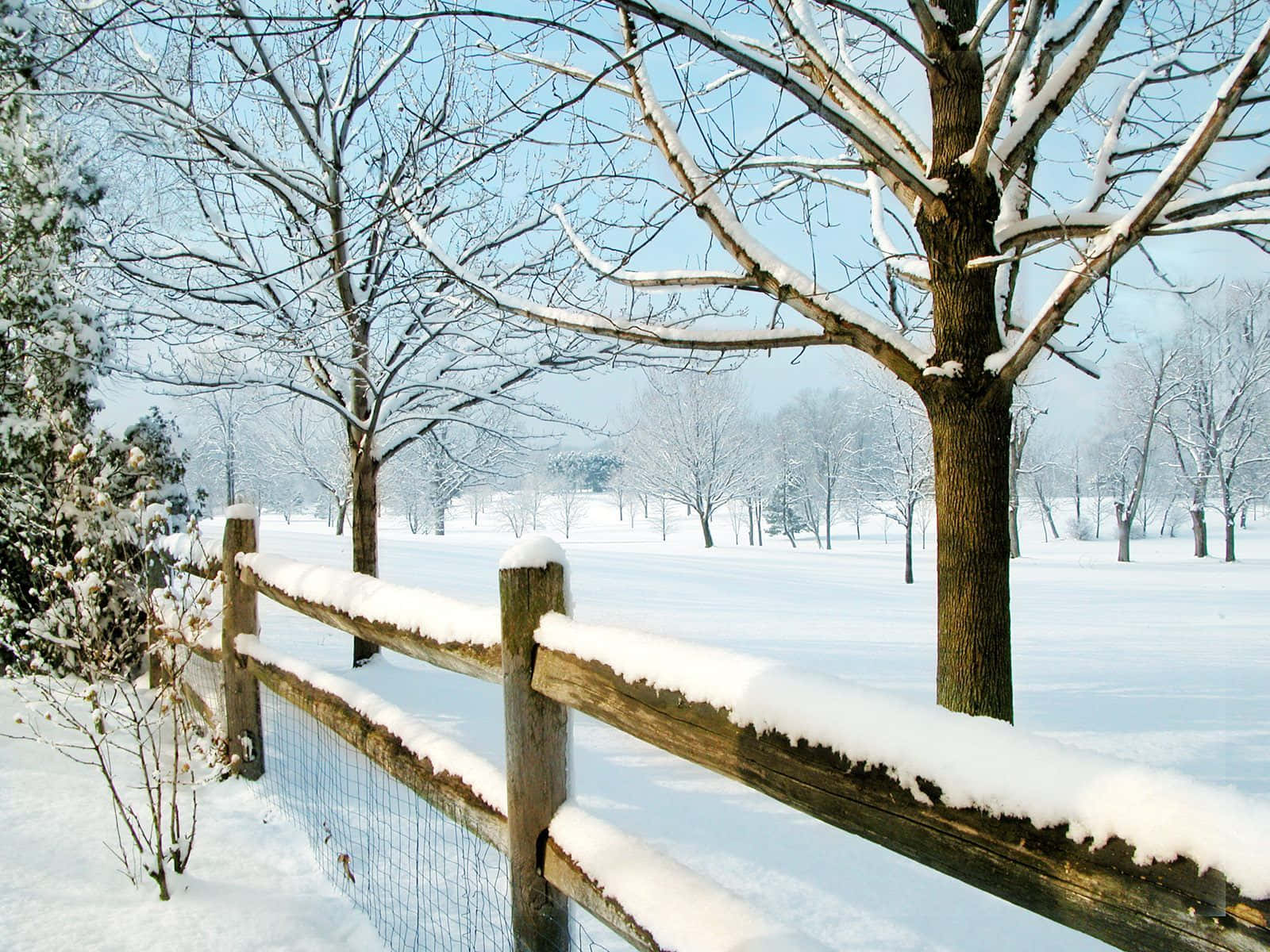 New Hampshire Vinterhegnsmaling Wallpapers