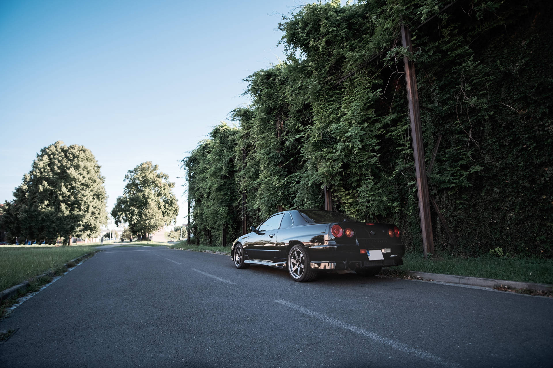 sort coupé på vej nær grønne træer om dagen — Sort Wallpapers