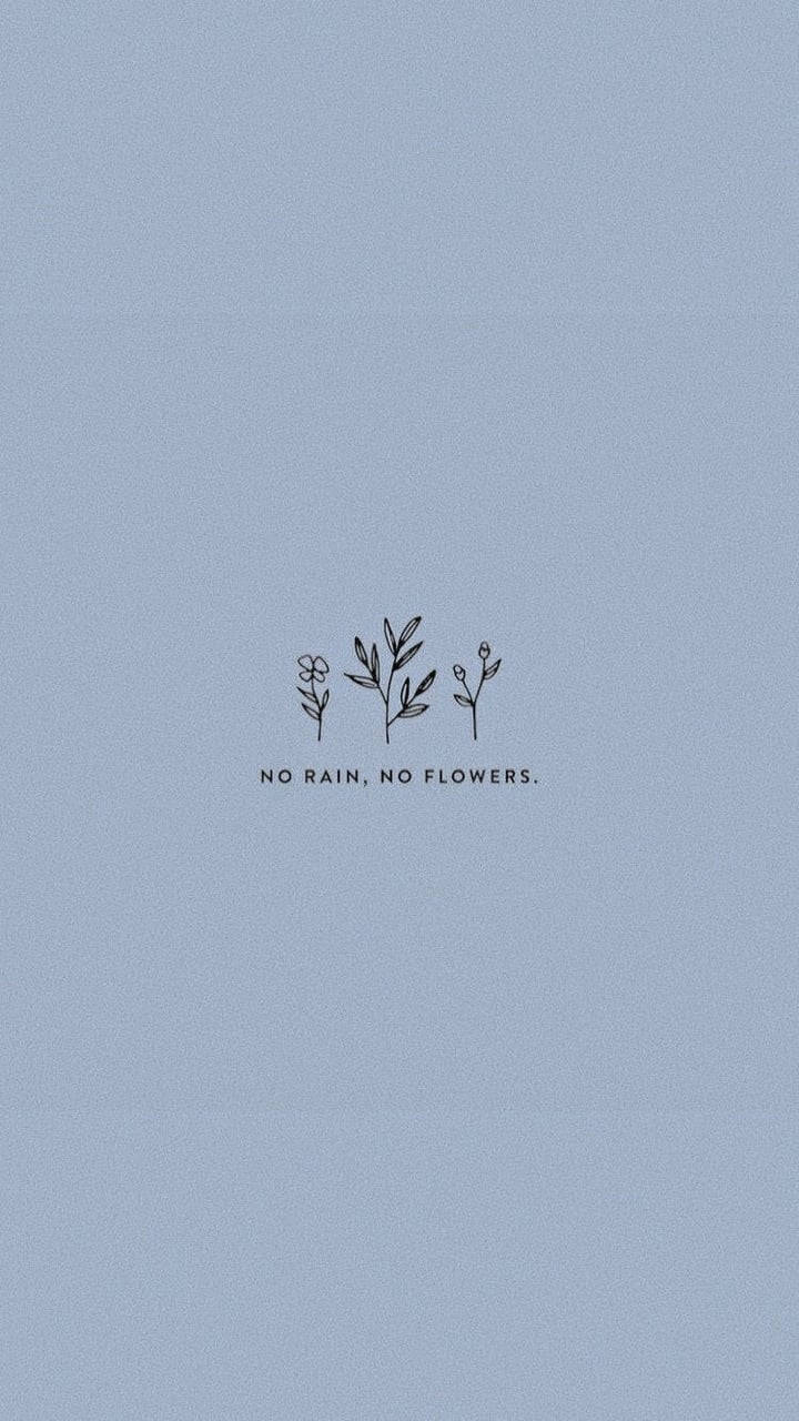 No Rain No Flowers Sødt Æstetisk Wallpapers