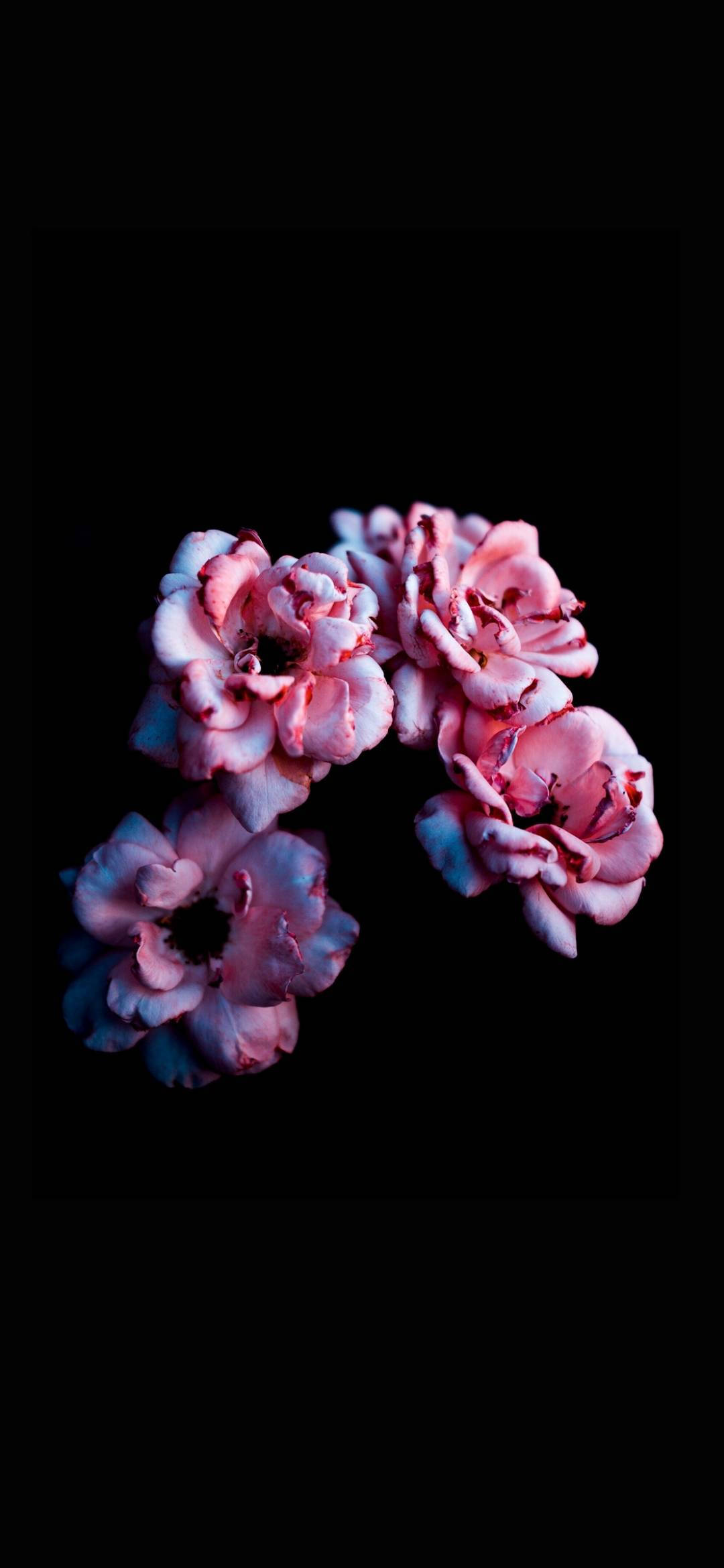 Note 10 Plus Pink Flowers Wallpapers