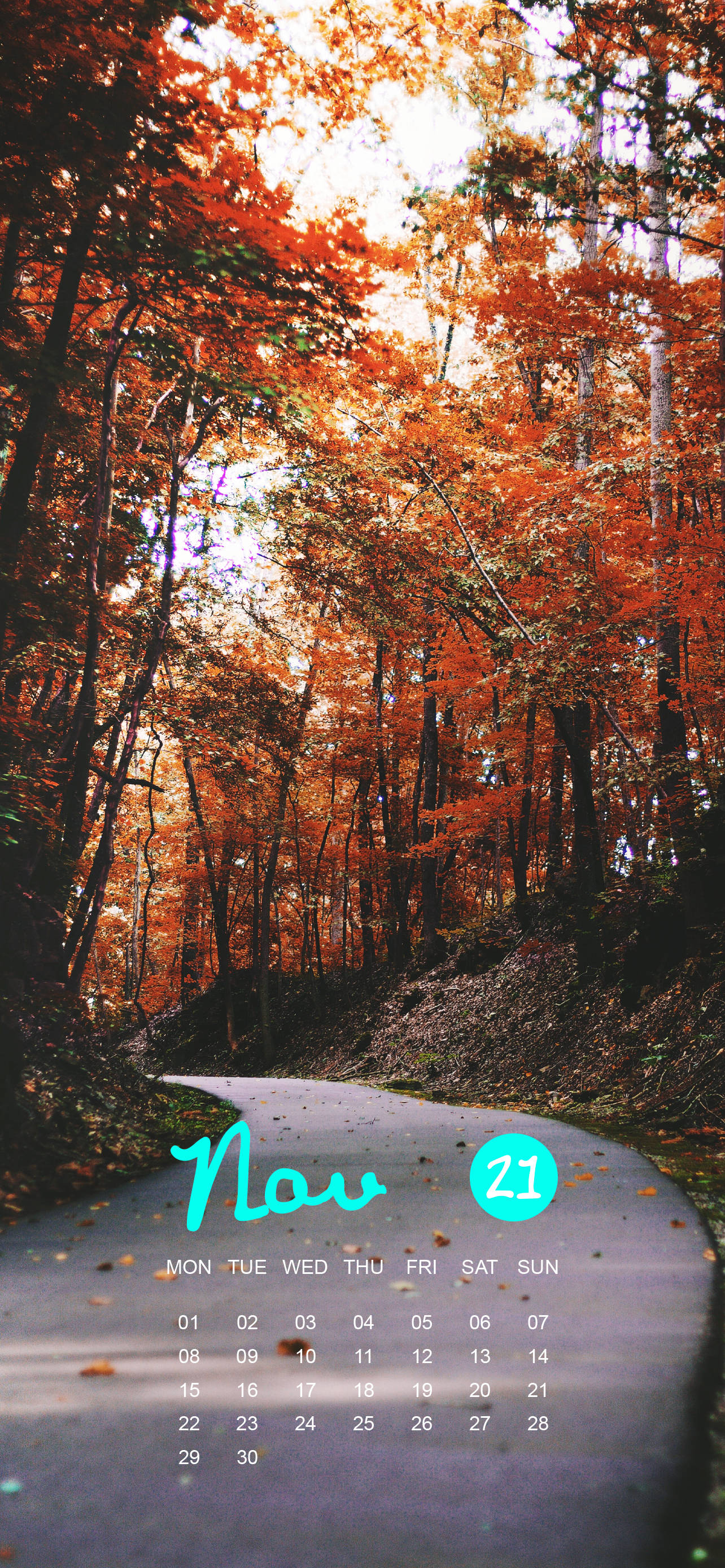 November 2021 Kalender Orange Vej Træer Wallpapers