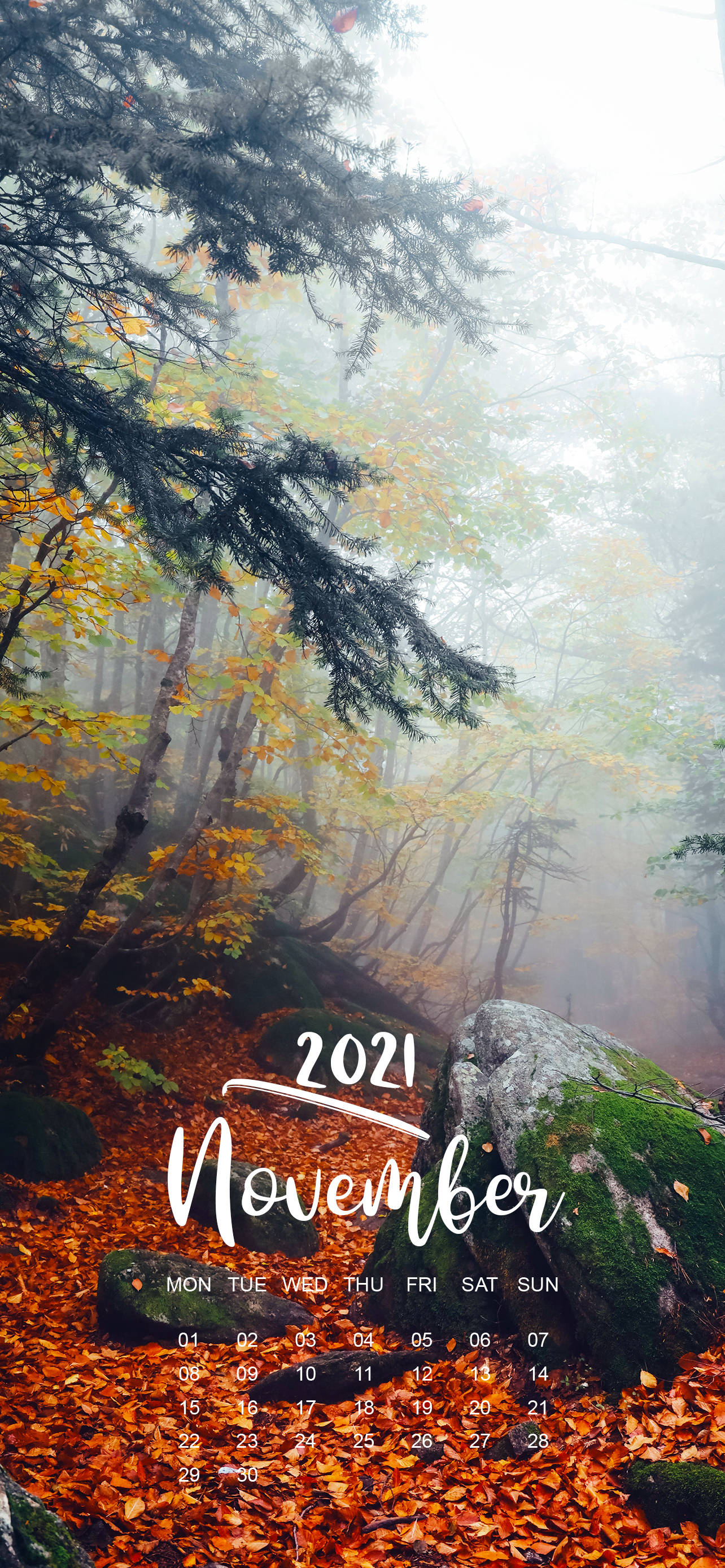 November 2021 Kalender Tåget Skov Wallpapers