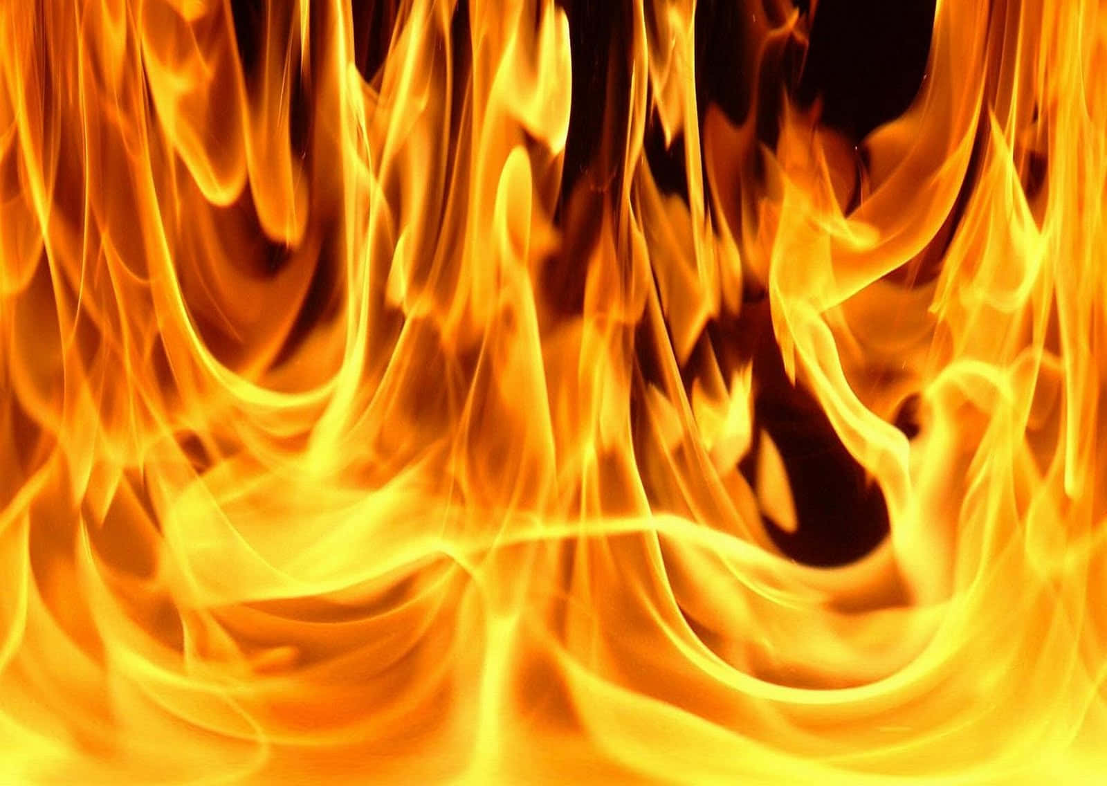 nærbillede af en flammende ild Wallpapers
