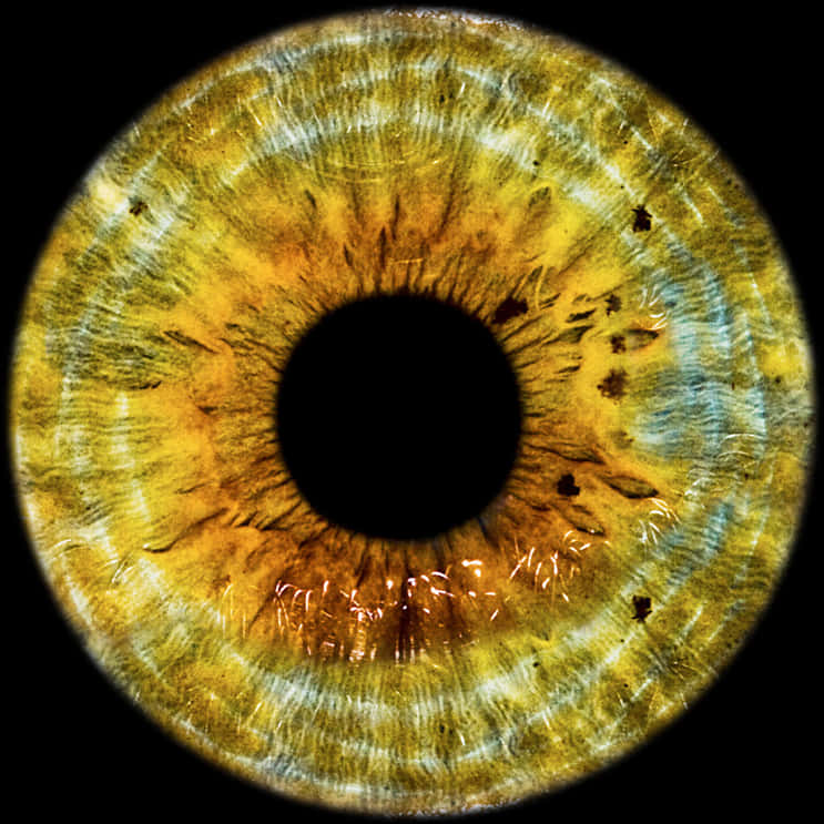 Nærbillede af menneskelig irisstruktur Wallpapers